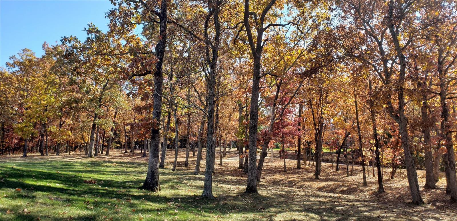 5817 Forest Drive Hillsboro, MO 63050 - Photo 30 of 32