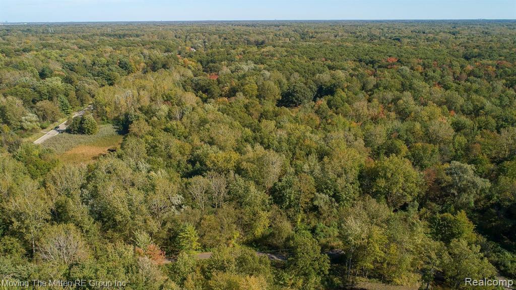 0 Willis Road Belleville, MI 48111 - Photo 9 of 15