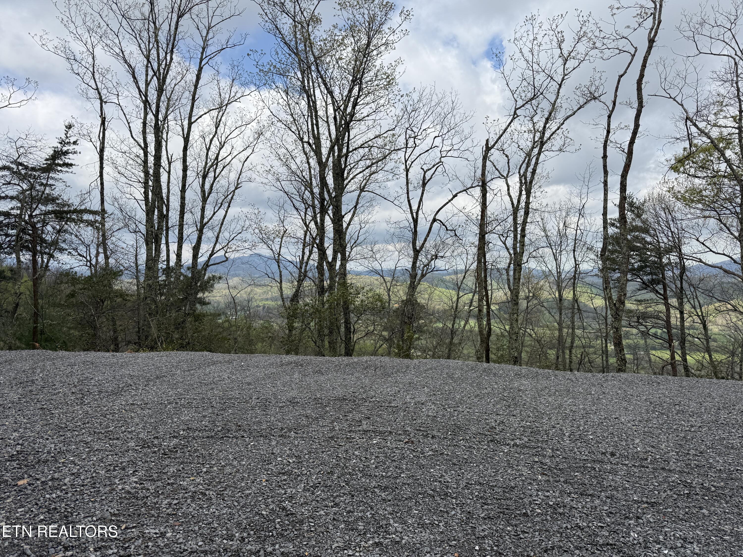 3.93-acres Green Forest Road Cosby, TN 37722 - Photo 1 of 26 1