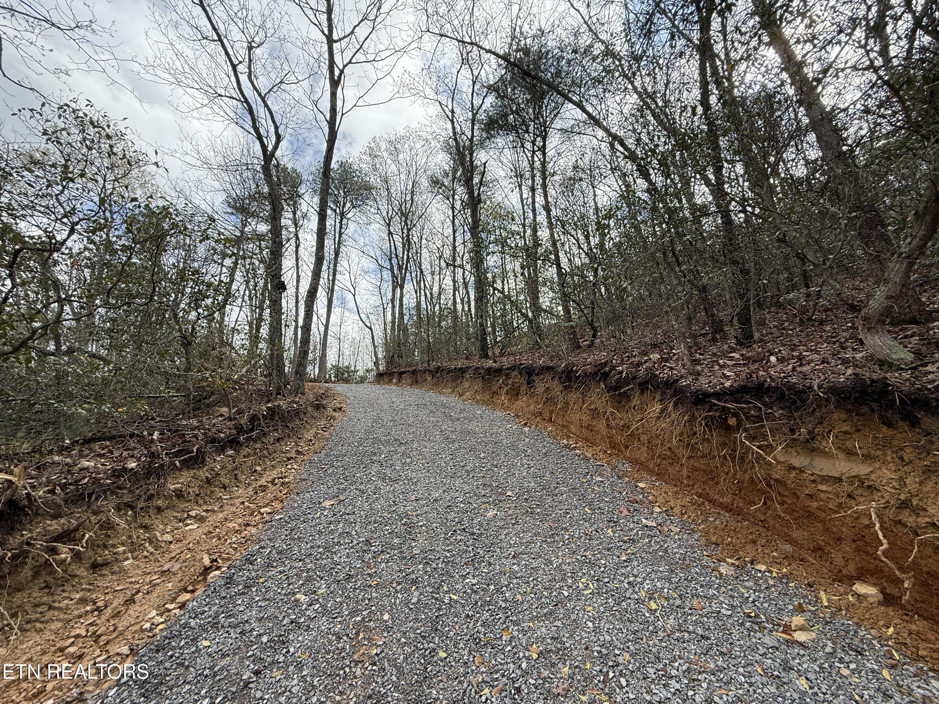 3.93-acres Green Forest Road Cosby, TN 37722 - Photo 11 of 26 11
