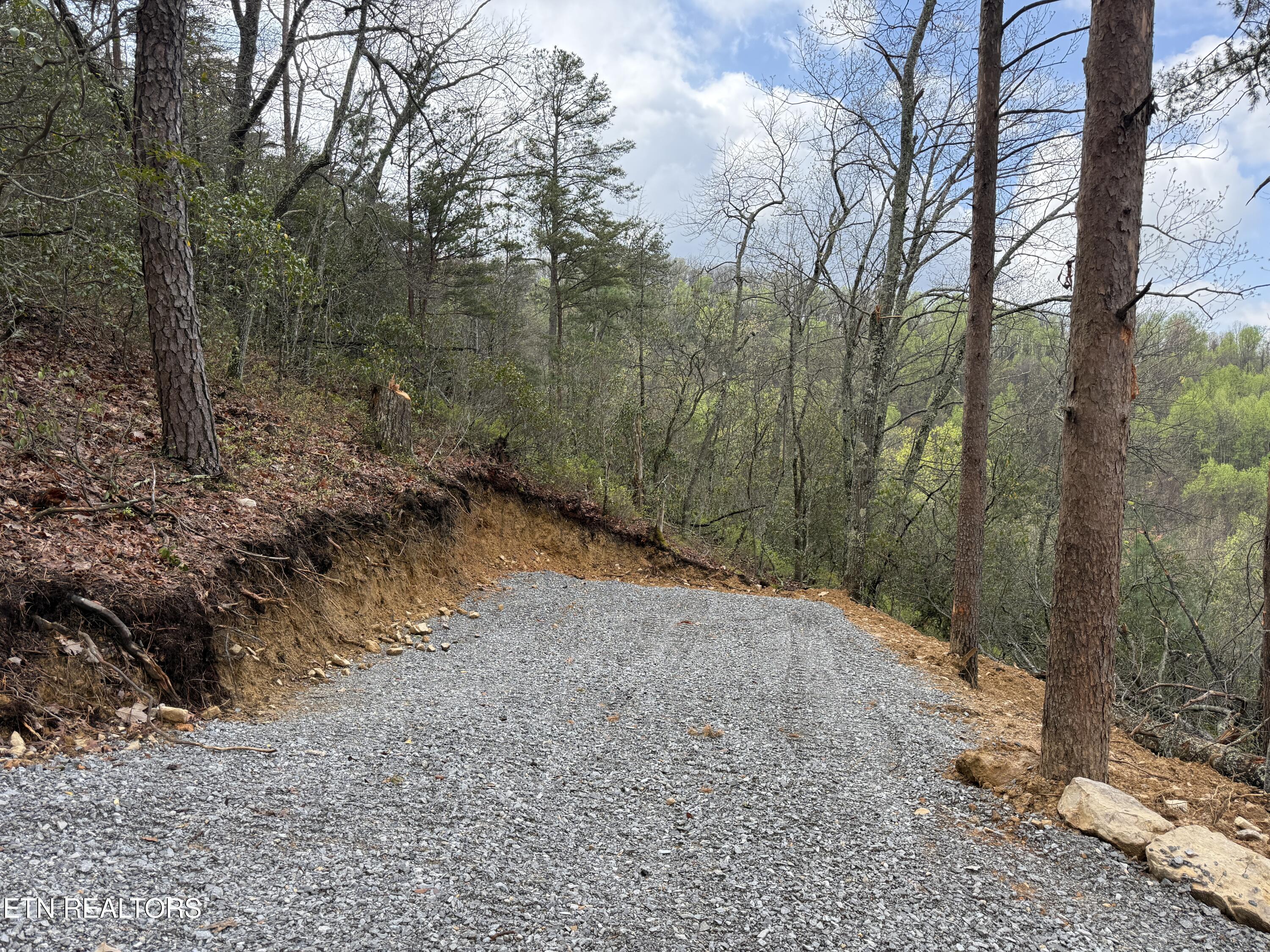 3.93-acres Green Forest Road Cosby, TN 37722 - Photo 12 of 26 12