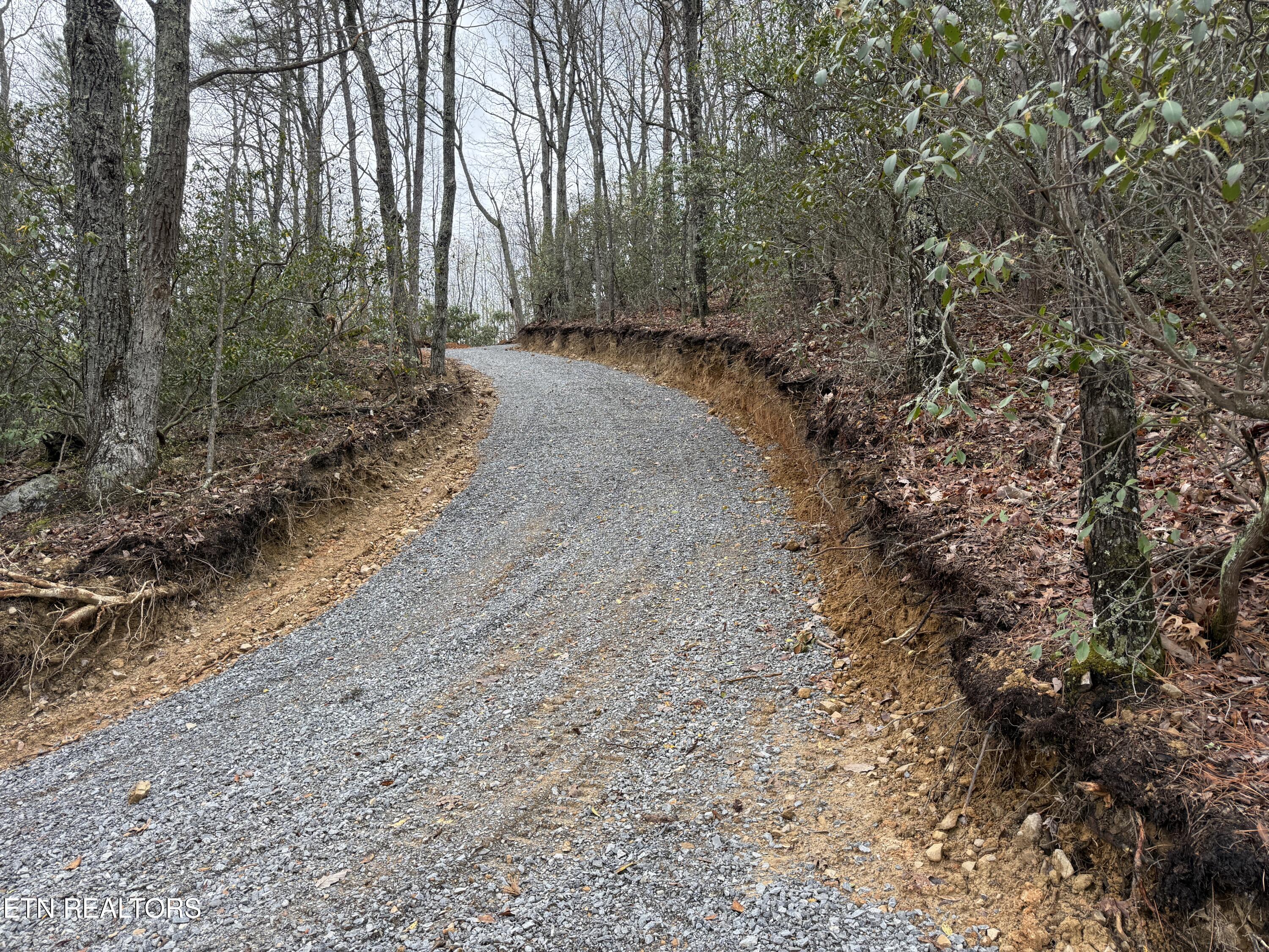 3.93-acres Green Forest Road Cosby, TN 37722 - Photo 13 of 26 13