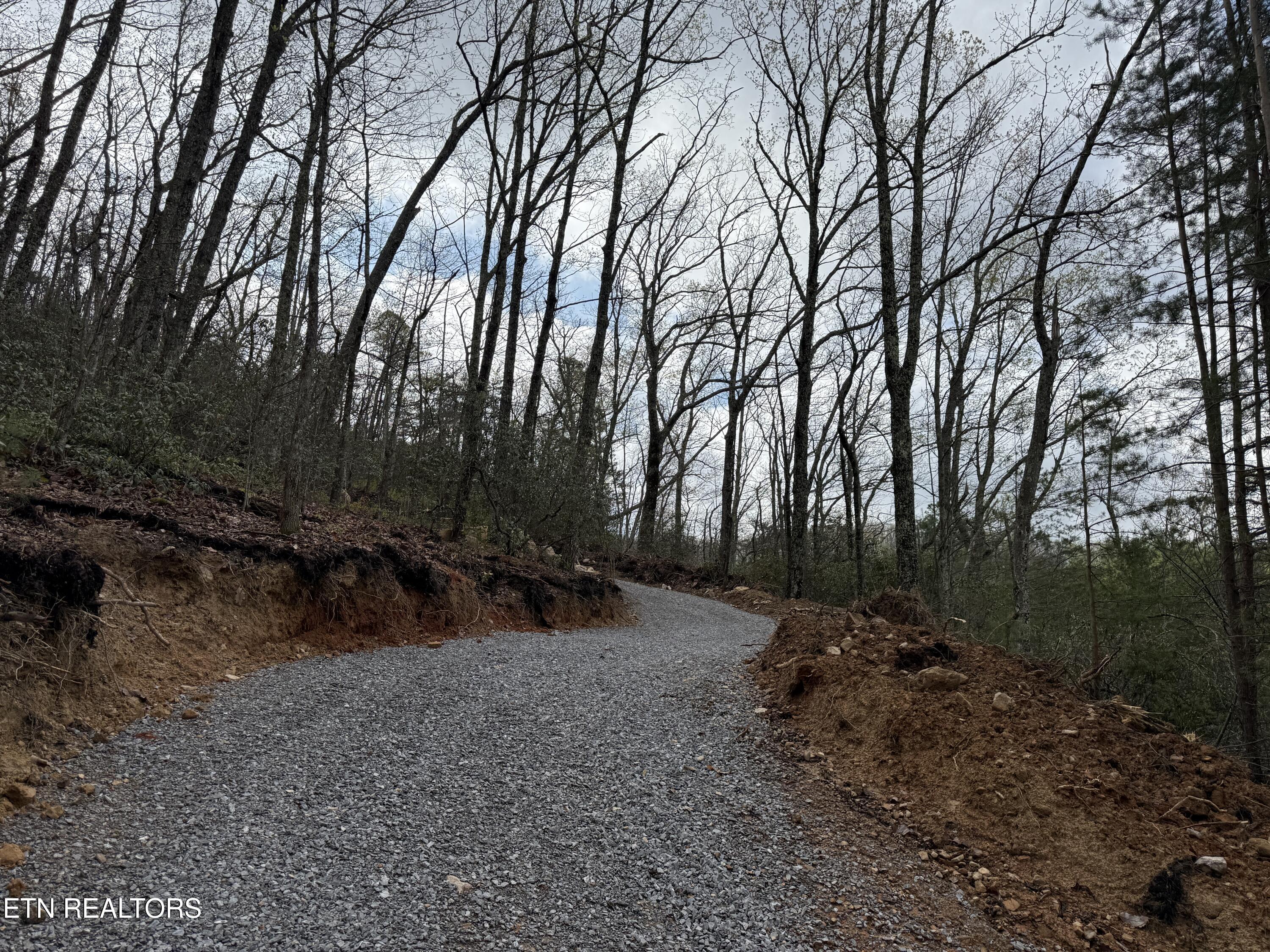 3.93-acres Green Forest Road Cosby, TN 37722 - Photo 14 of 26 14