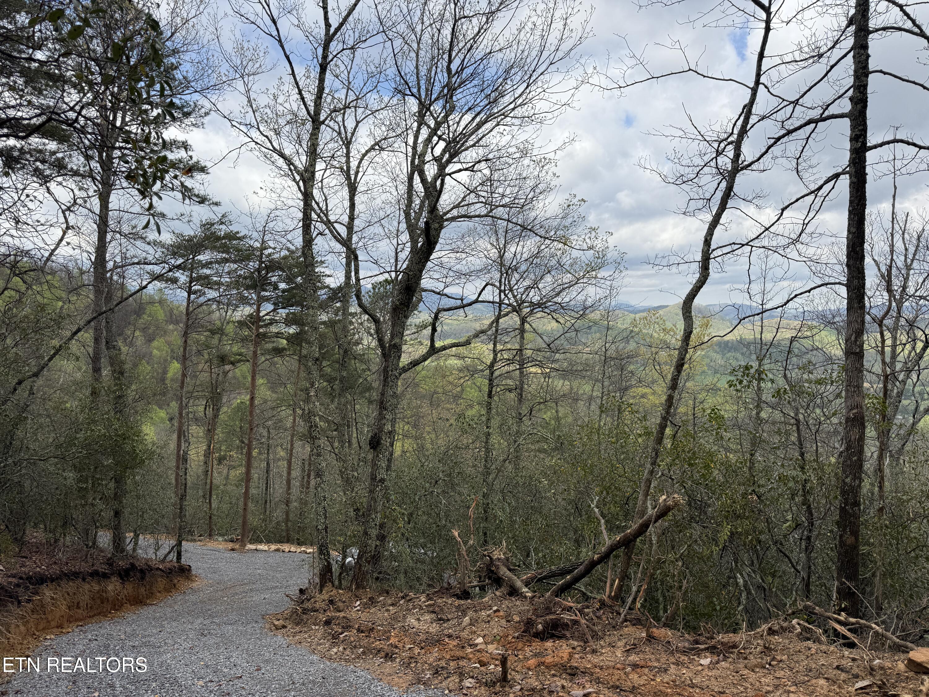 3.93-acres Green Forest Road Cosby, TN 37722 - Photo 15 of 26 15