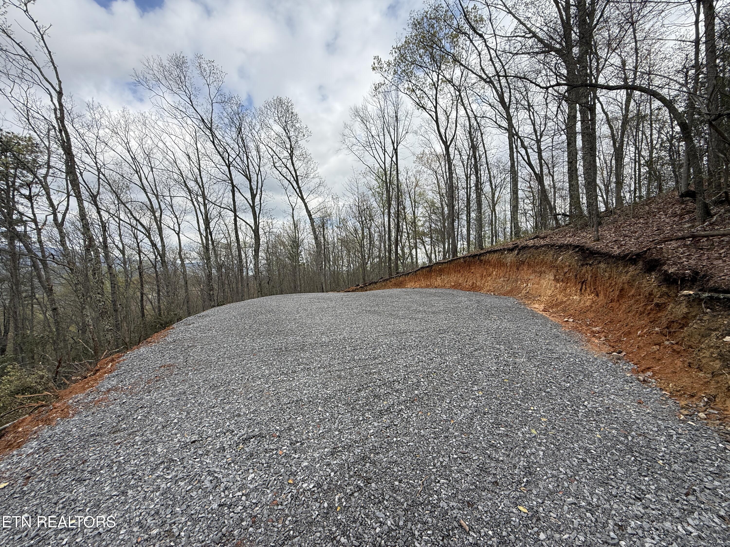 3.93-acres Green Forest Road Cosby, TN 37722 - Photo 17 of 26 17