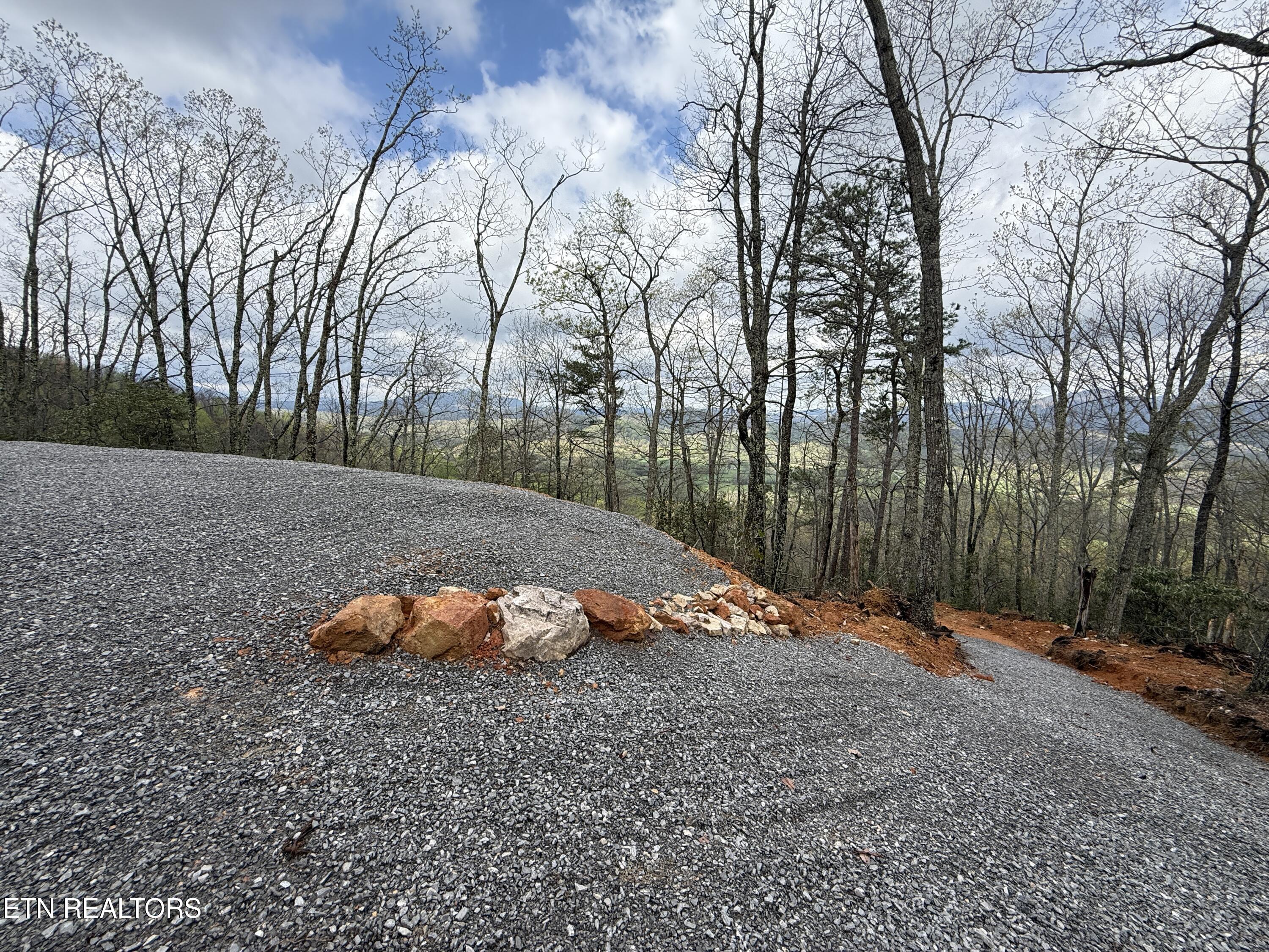 3.93-acres Green Forest Road Cosby, TN 37722 - Photo 19 of 26 19