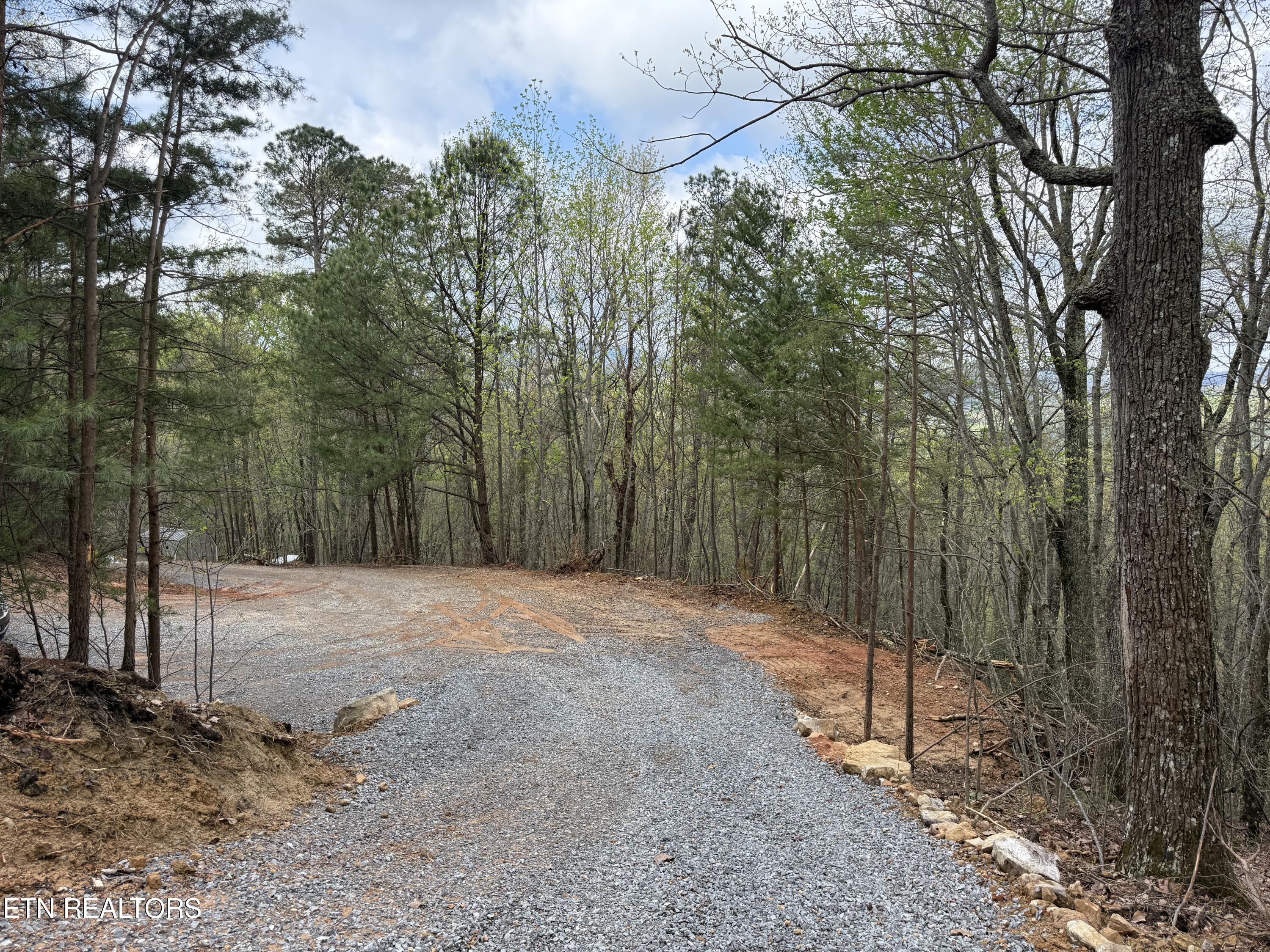 3.93-acres Green Forest Road Cosby, TN 37722 - Photo 20 of 26 20