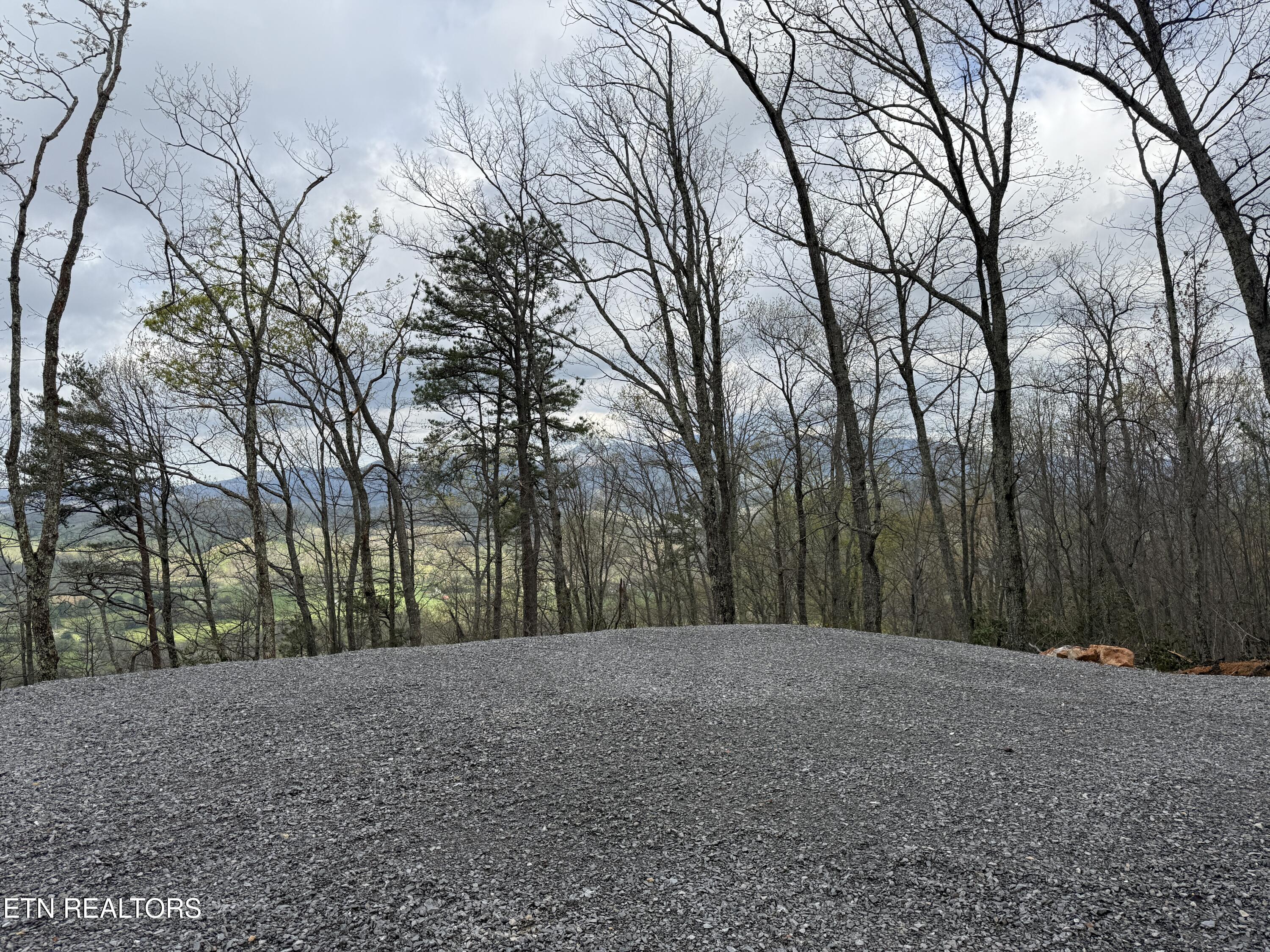 3.93-acres Green Forest Road Cosby, TN 37722 - Photo 2 of 26 2