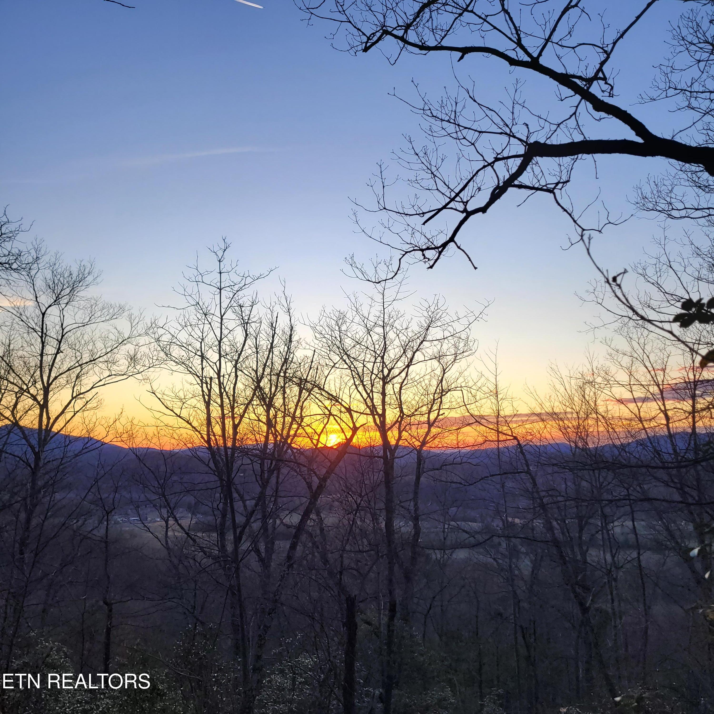 3.93-acres Green Forest Road Cosby, TN 37722 - Photo 22 of 26 22