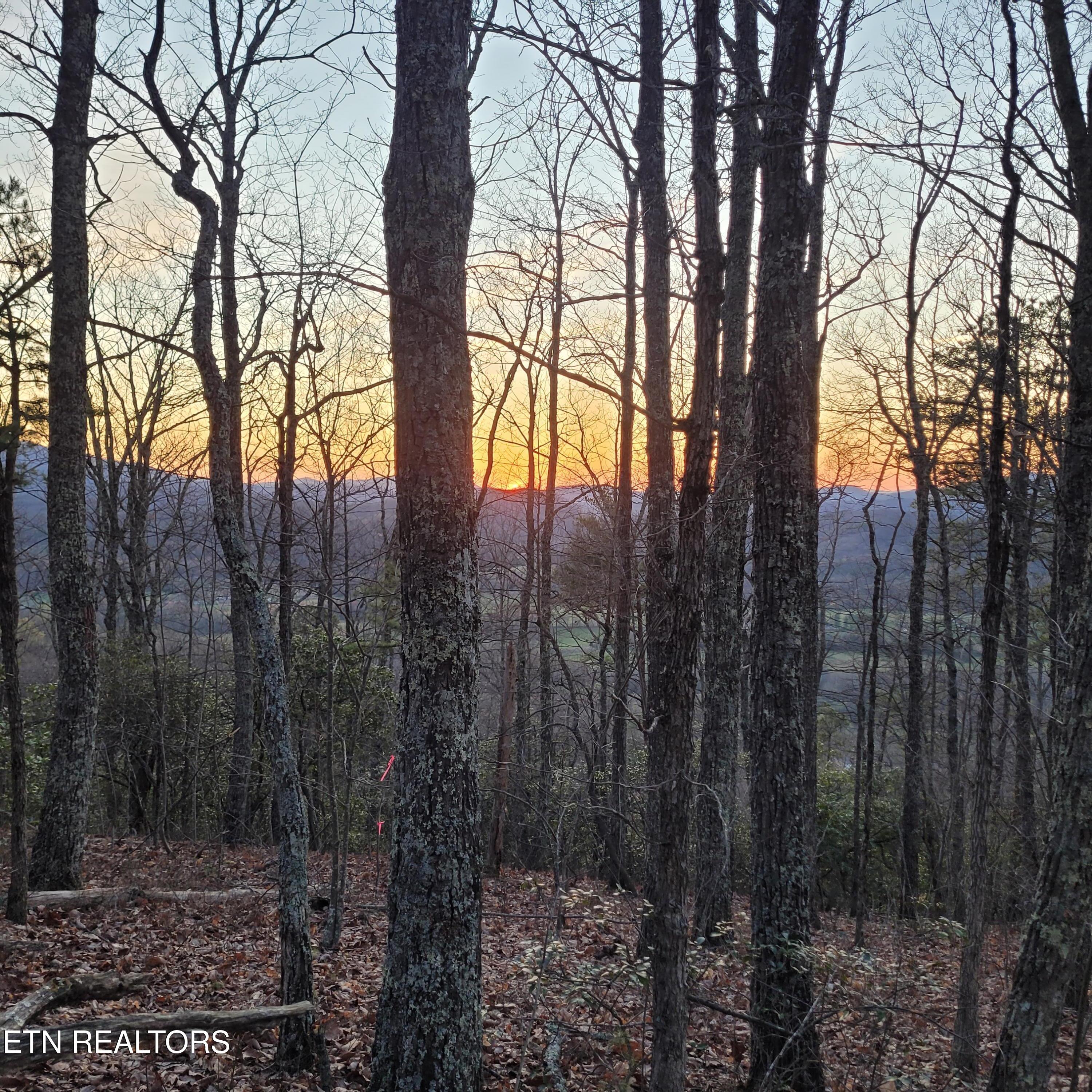 3.93-acres Green Forest Road Cosby, TN 37722 - Photo 23 of 26 23