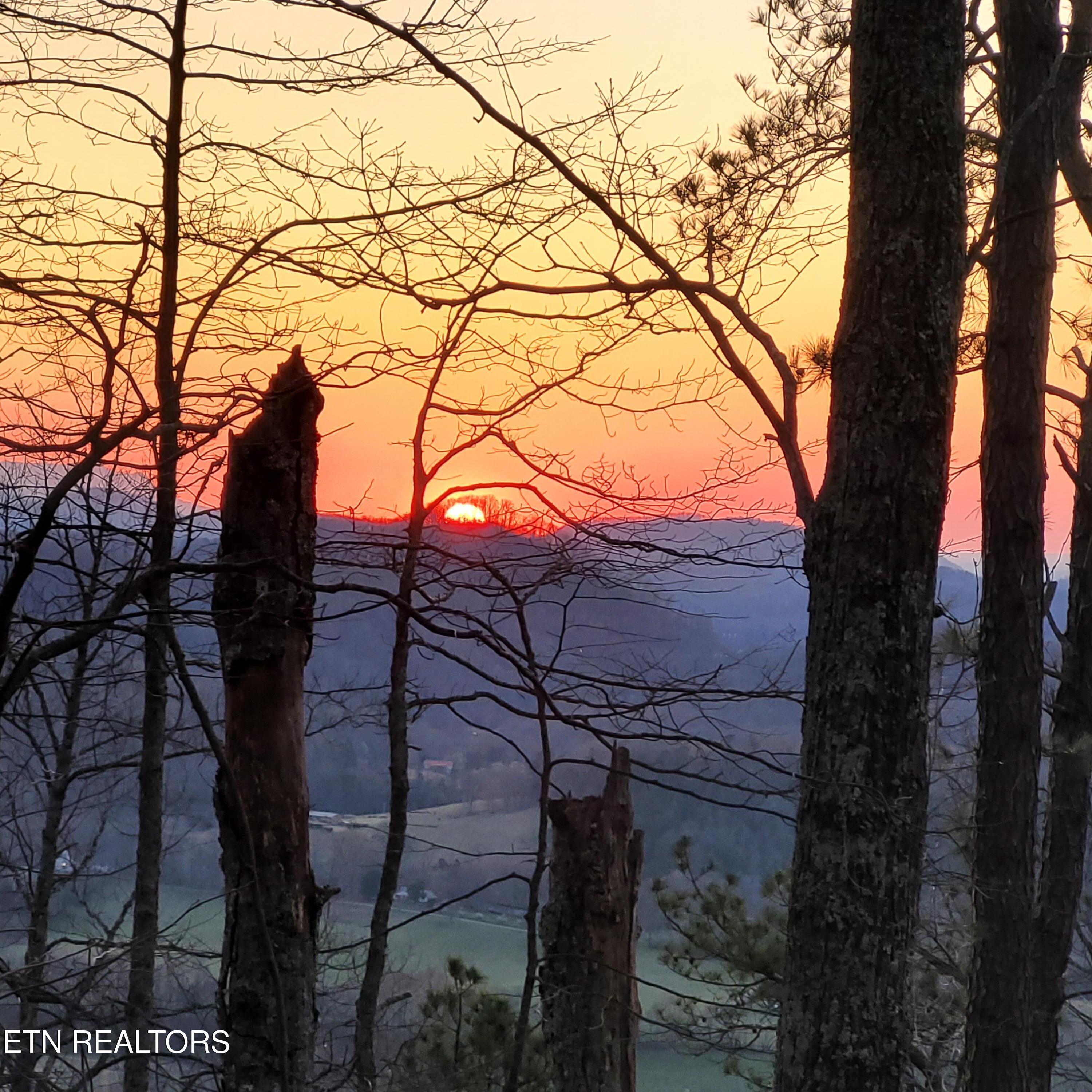 3.93-acres Green Forest Road Cosby, TN 37722 - Photo 24 of 26 24