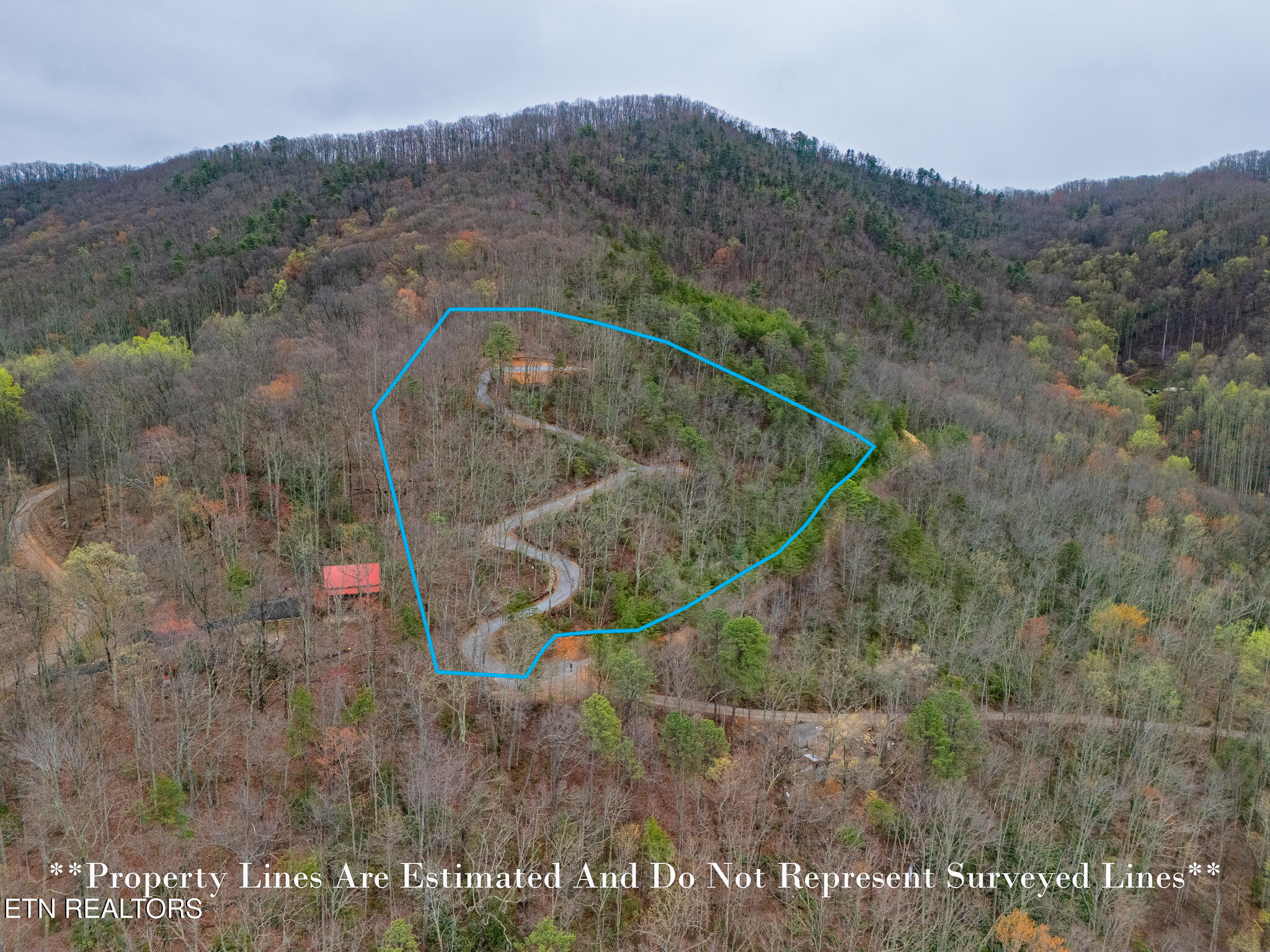 3.93-acres Green Forest Road Cosby, TN 37722 - Photo 4 of 26 4
