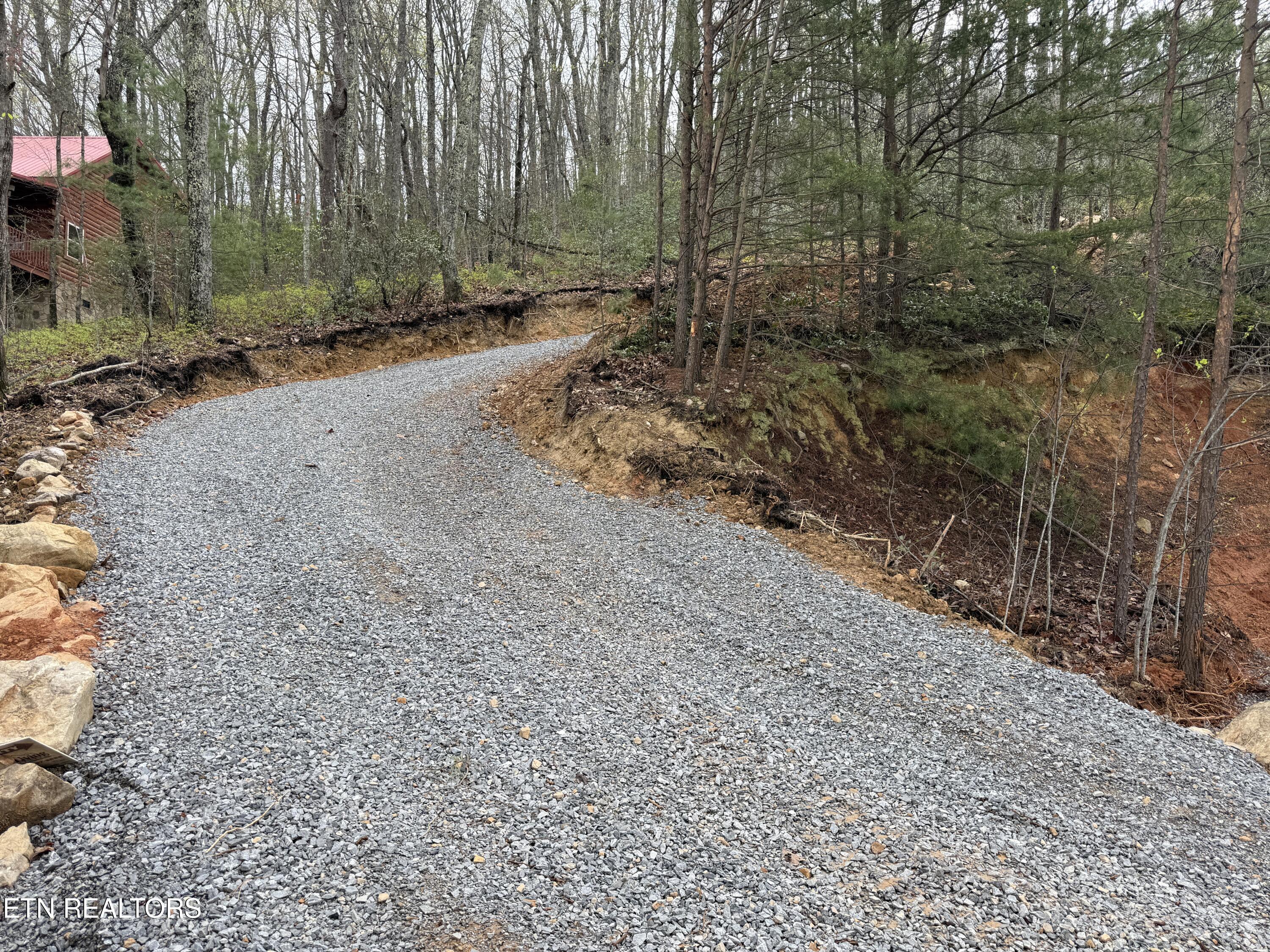 3.93-acres Green Forest Road Cosby, TN 37722 - Photo 8 of 26 8