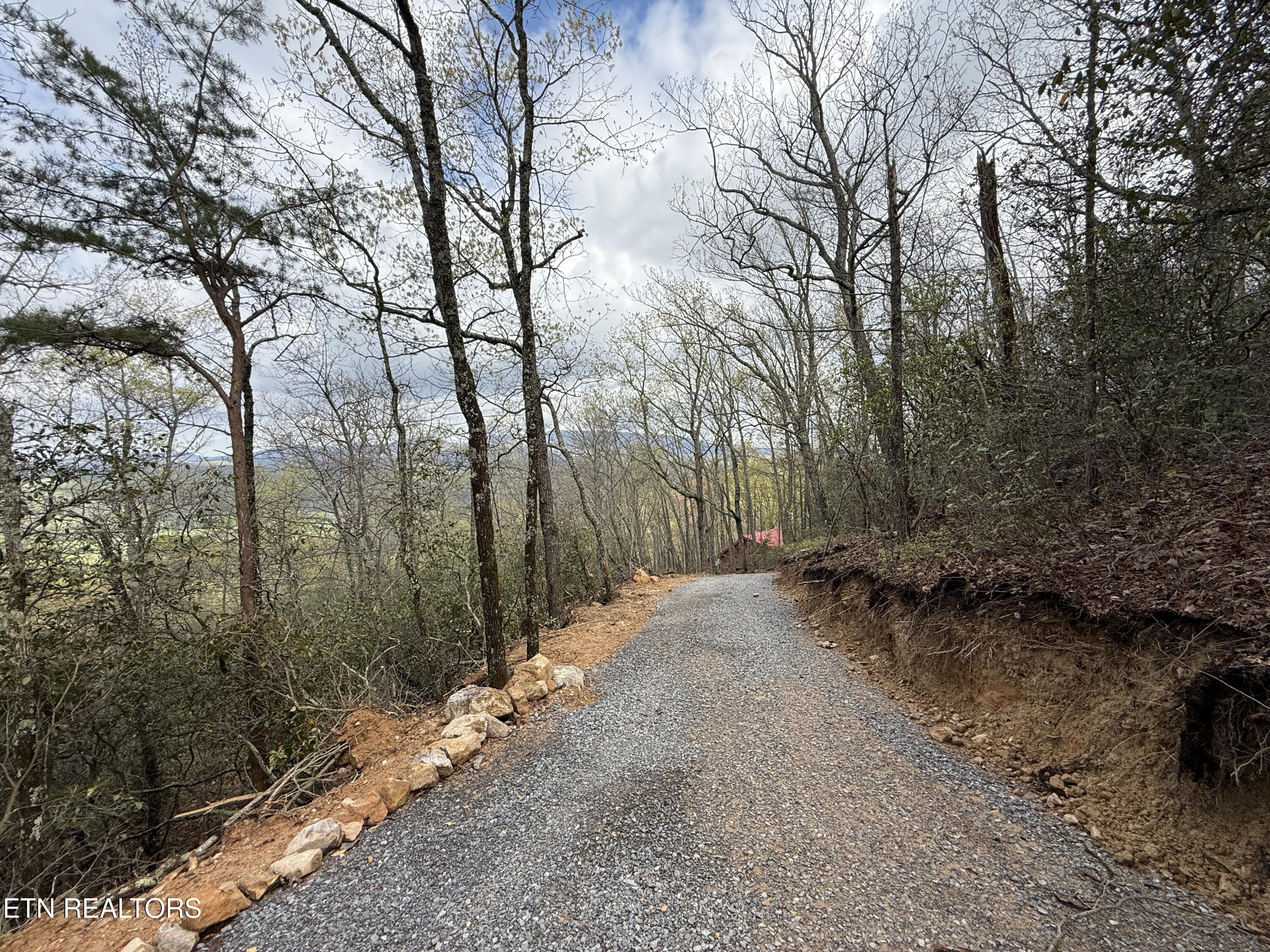 3.93-acres Green Forest Road Cosby, TN 37722 - Photo 9 of 26 9