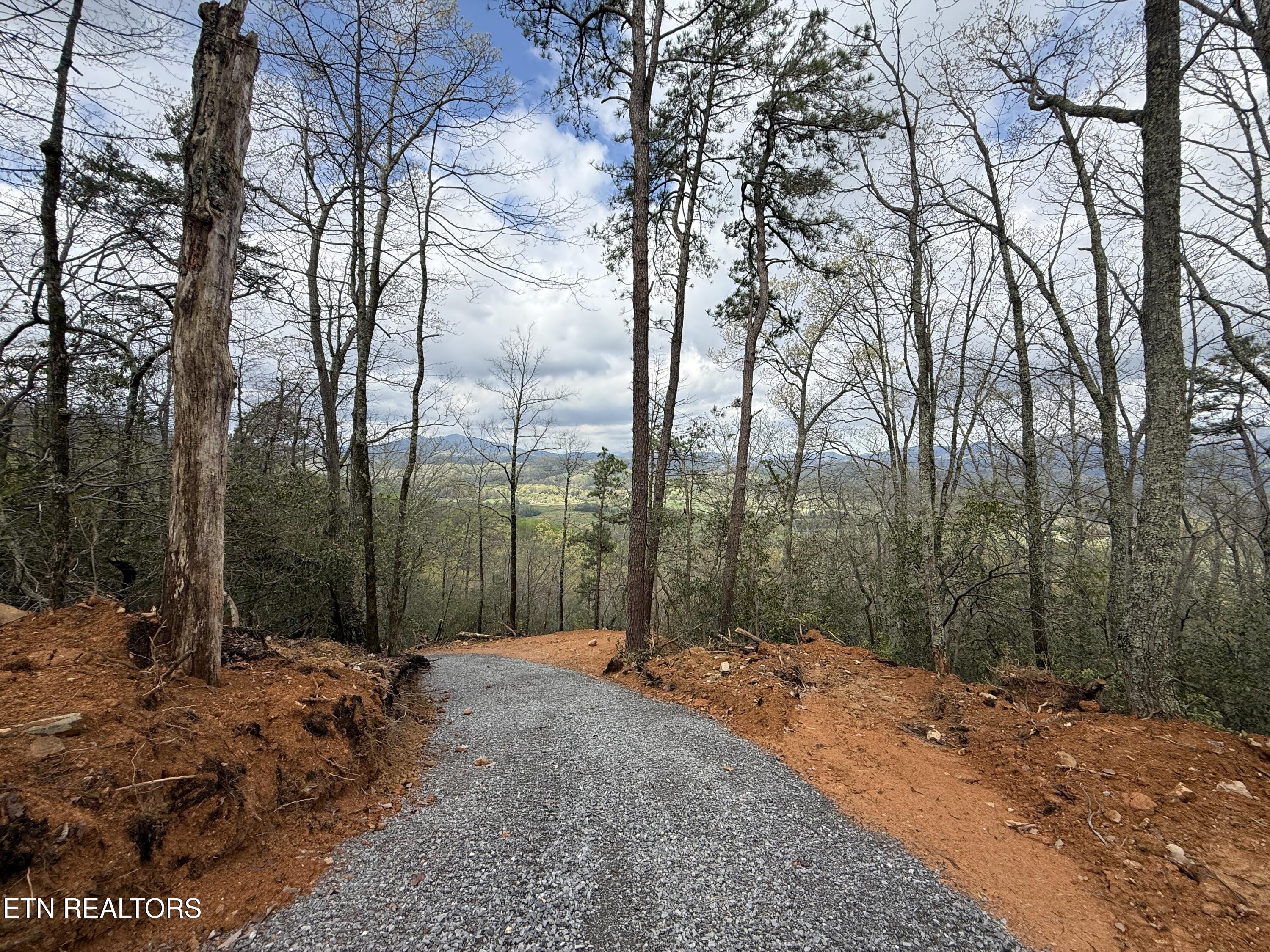 3.93-acres Green Forest Road Cosby, TN 37722 - Photo 10 of 26 10