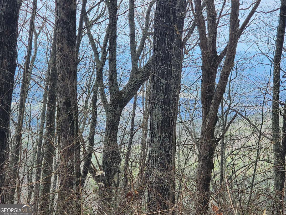 0 Dowell Circle Ellijay, GA 30540 - Photo 3 of 6