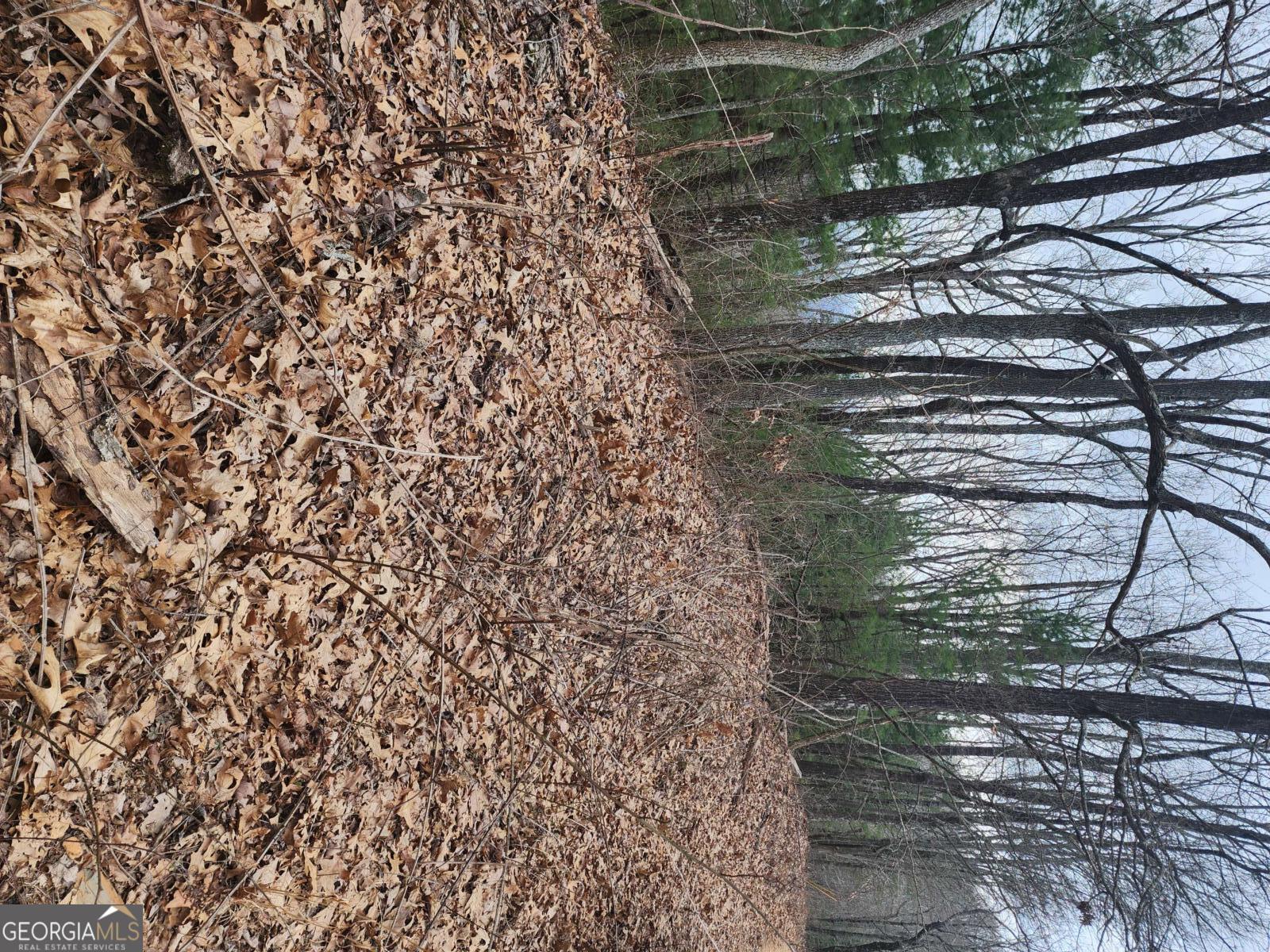 0 Dowell Circle Ellijay, GA 30540 - Photo 4 of 6