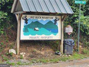 0 Dowell Circle Ellijay, GA 30540 - Photo 5 of 6