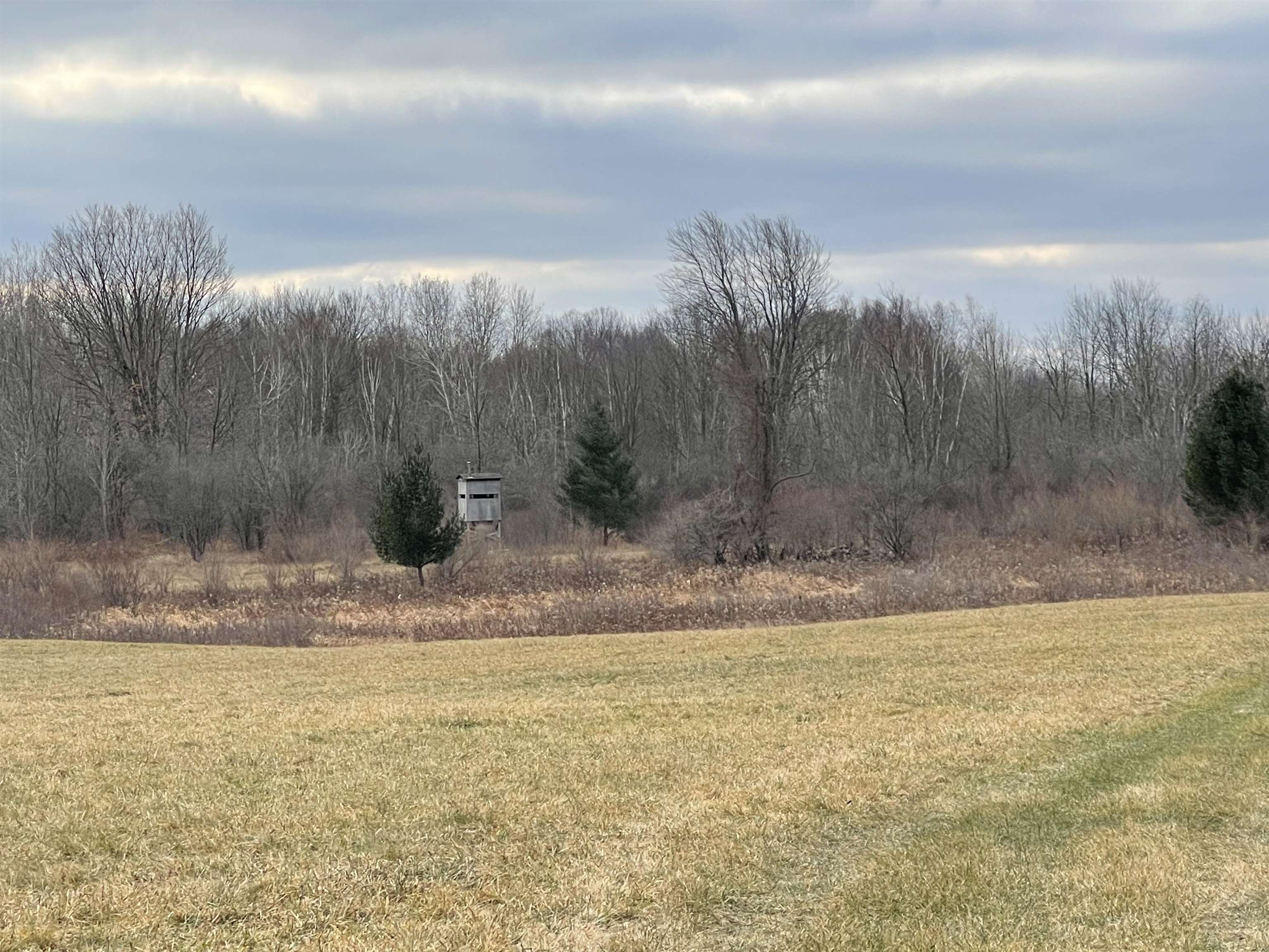 Four 4 Mile Road Evart, MI 49631 - Photo 5 of 38
