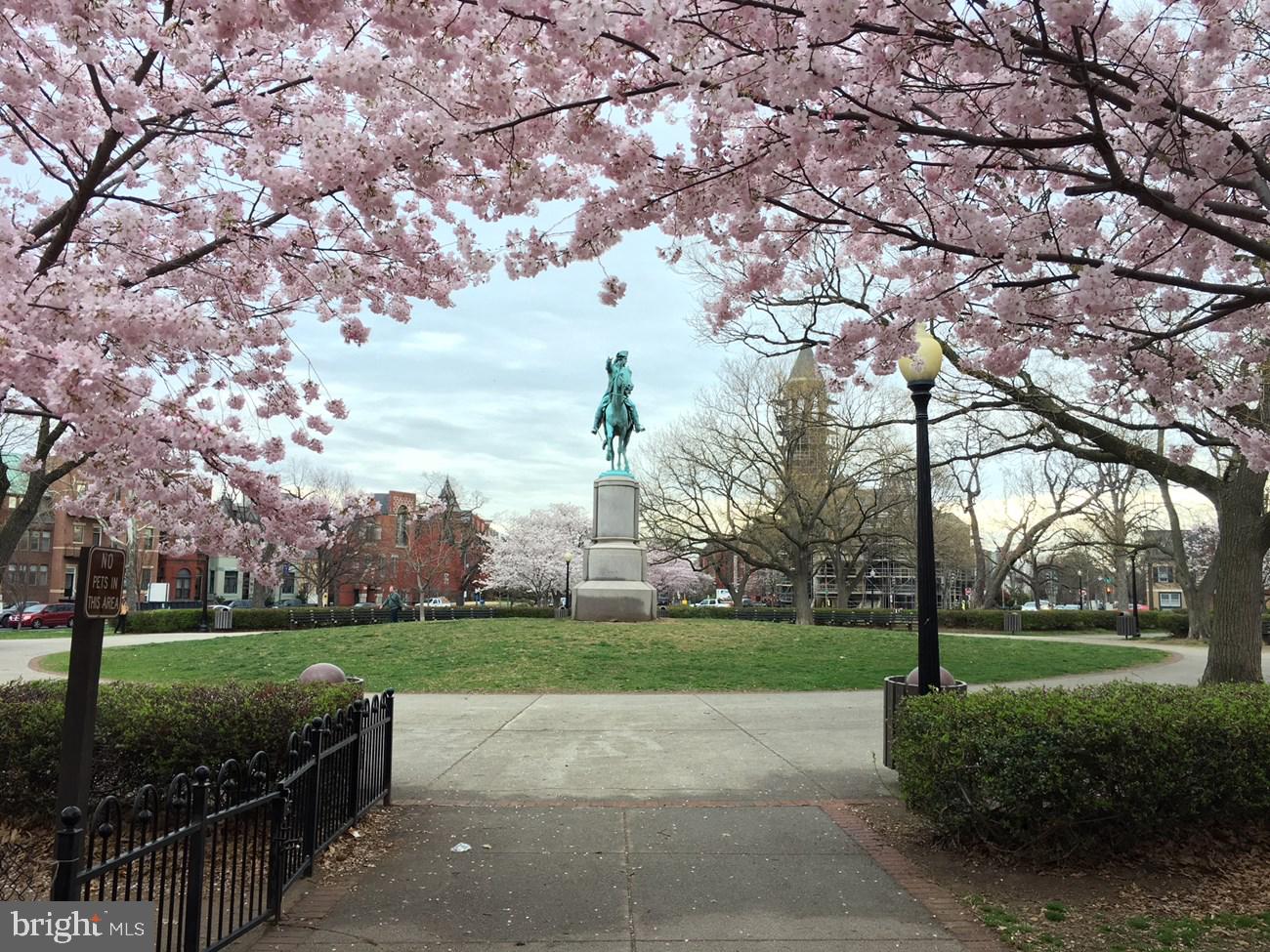 252 10th Street Northeast Washington, DC 20002 - Photo 31 of 31 a view of a park with large trees