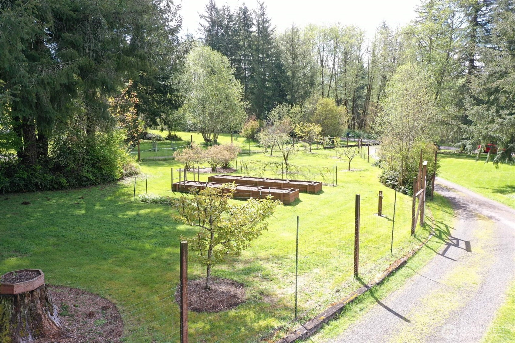 191 Calvin Road Cinebar, WA 98533 - Photo 11 of 40 Gallery Image 11