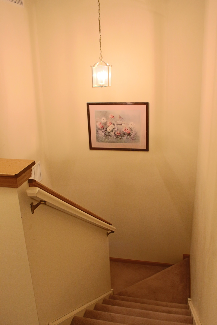 746 County Line Road, Unit 746 Aurora, IL 60502 - Photo 20 of 24