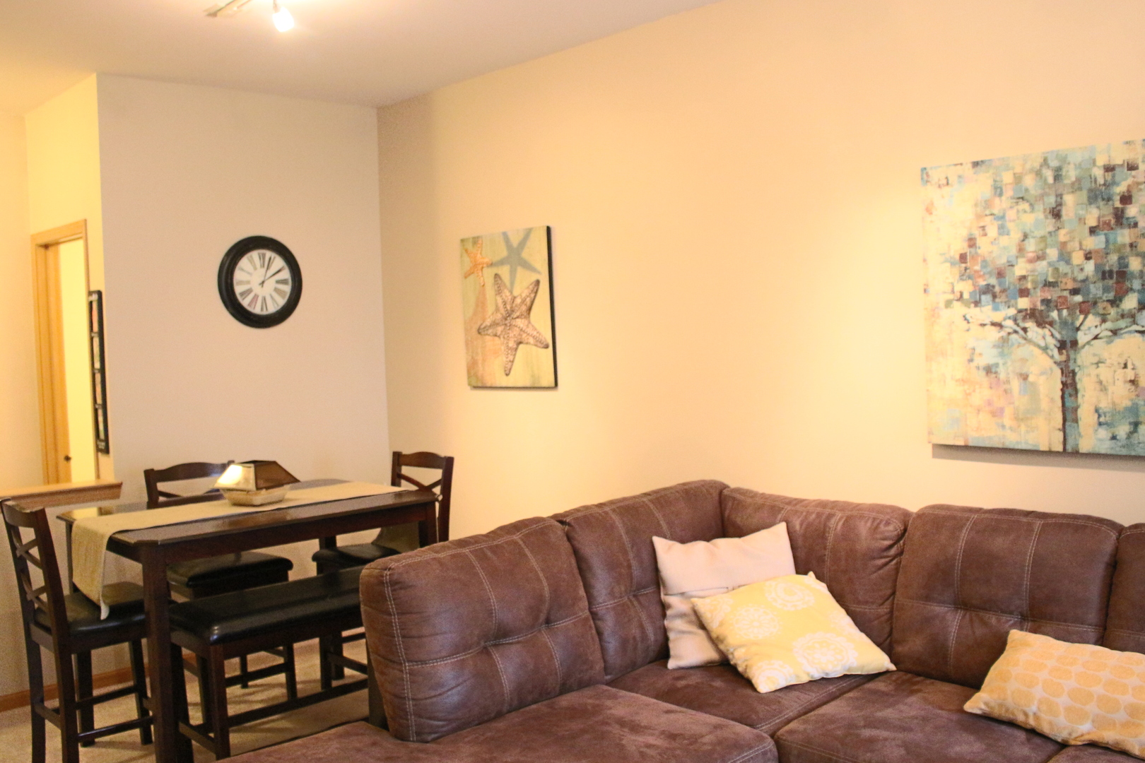 746 County Line Road, Unit 746 Aurora, IL 60502 - Photo 3 of 24