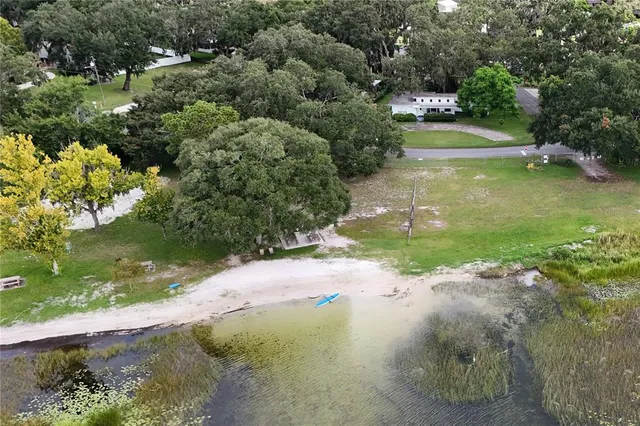 a view of a trees with yard