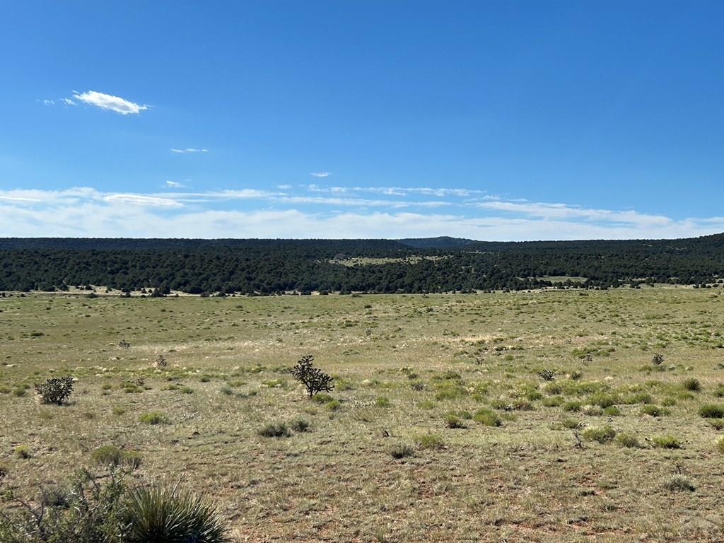 Lot 46 River Ridge Trail La Veta, CO 81055 - Photo 17 of 18
