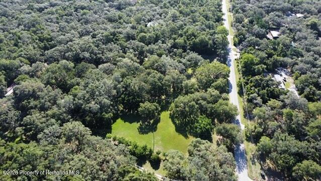 0 Little Ranch Road Spring Hill, FL 34610 - Photo 4 of 25