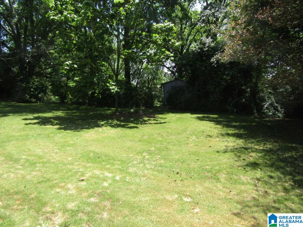 730 Roper Drive Mount Olive, AL 35117 - Photo 11 of 26