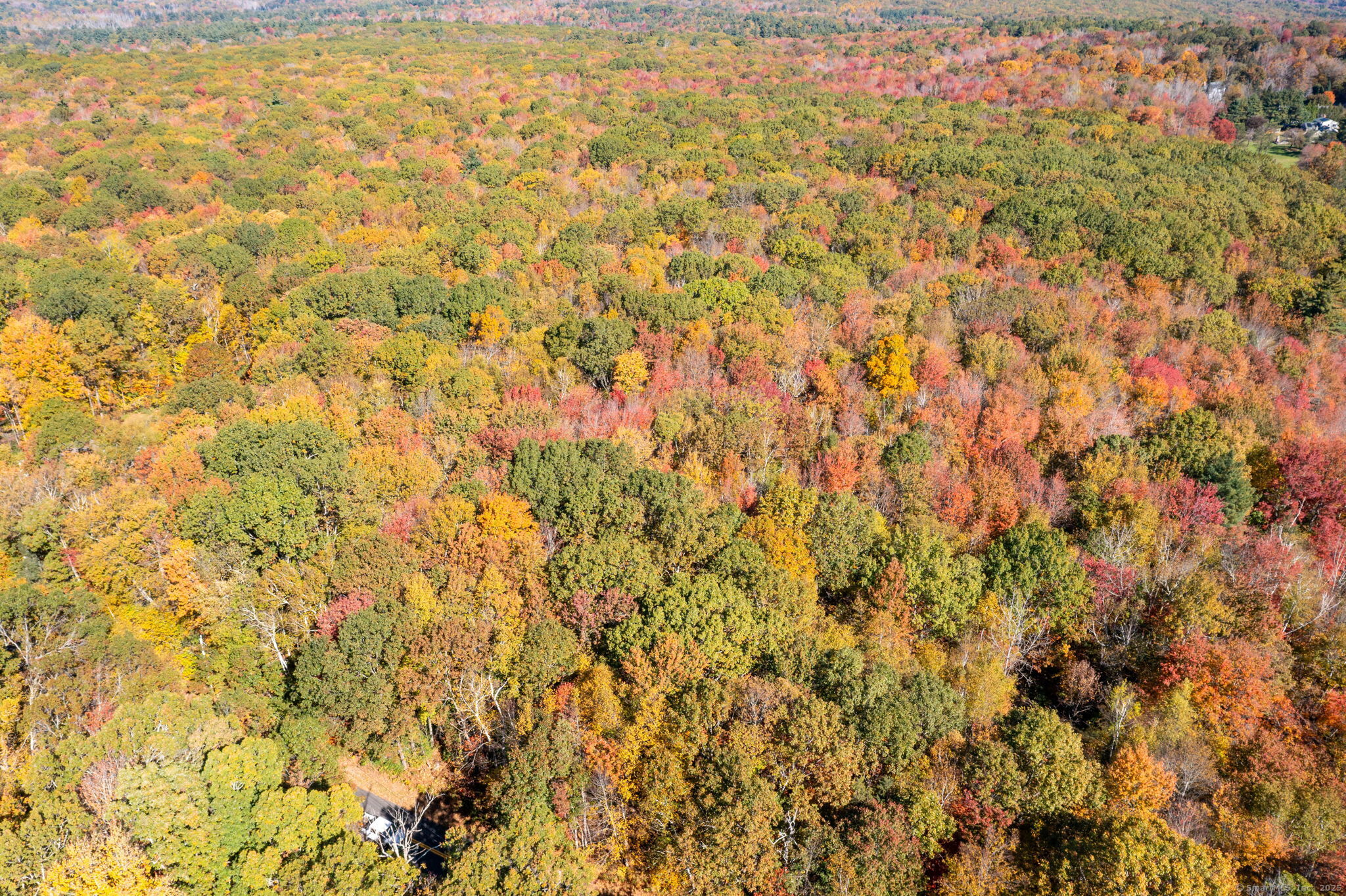 20 Edgerton Road Granby, CT 06090 - Photo 11 of 32 a view of a yard
