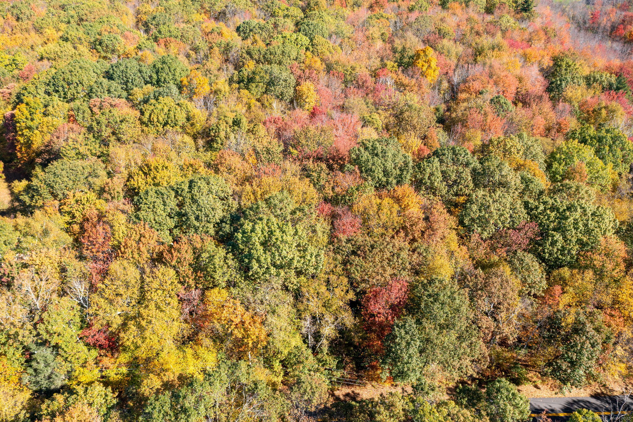 20 Edgerton Road Granby, CT 06090 - Photo 24 of 32 a view of a yard