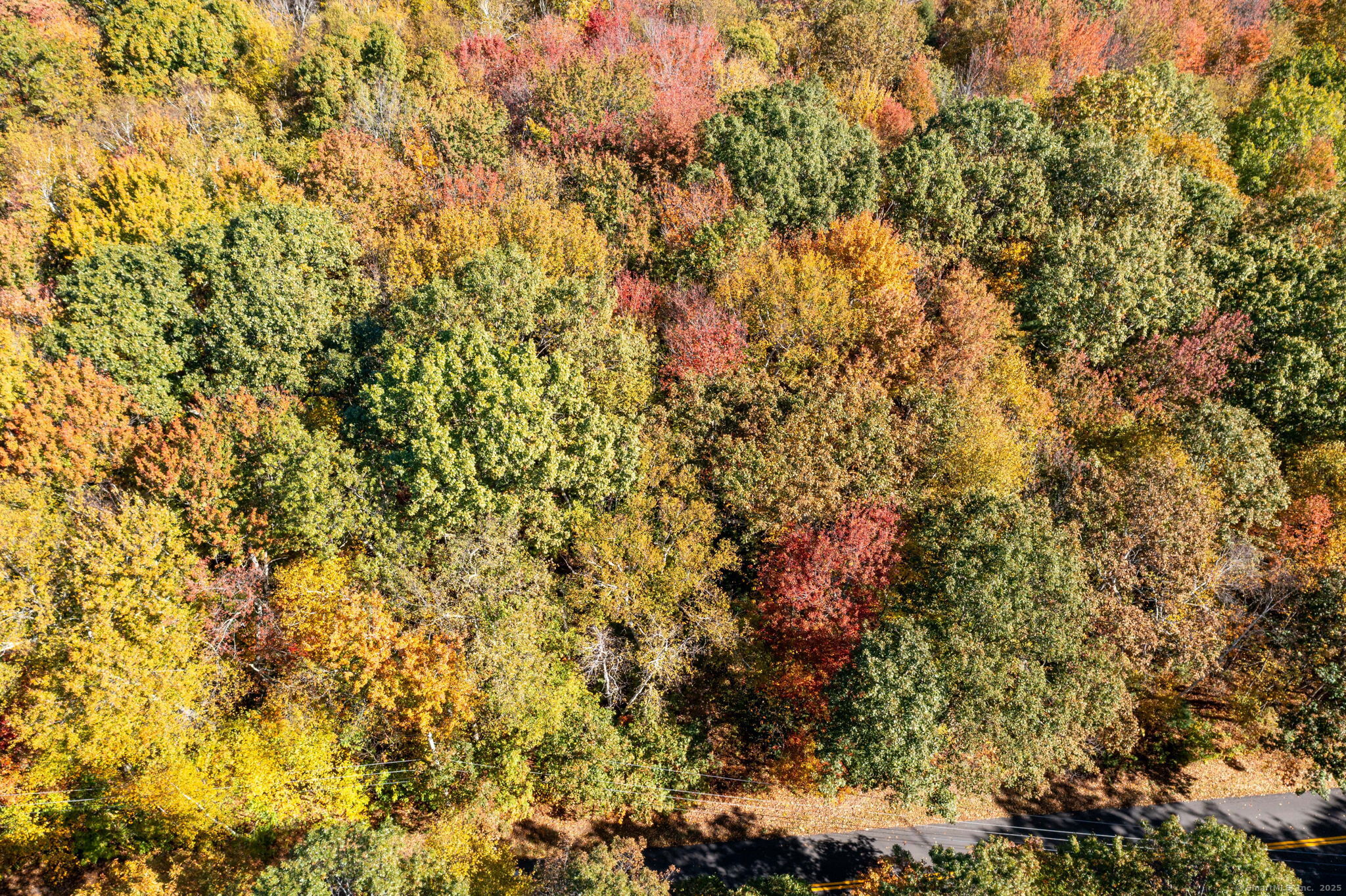 20 Edgerton Road Granby, CT 06090 - Photo 25 of 32 a view of a tree with a yard