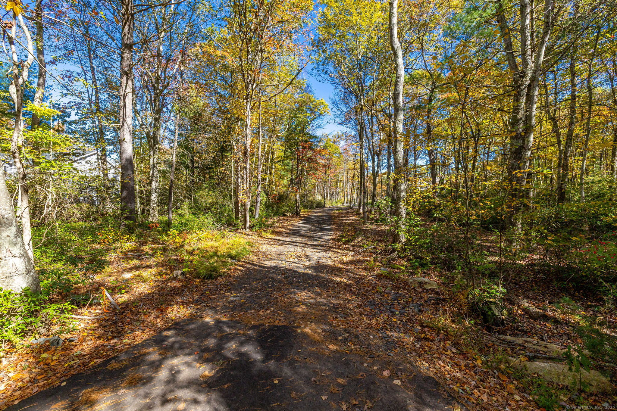 20 Edgerton Road Granby, CT 06090 - Photo 3 of 32 a view of yard with trees