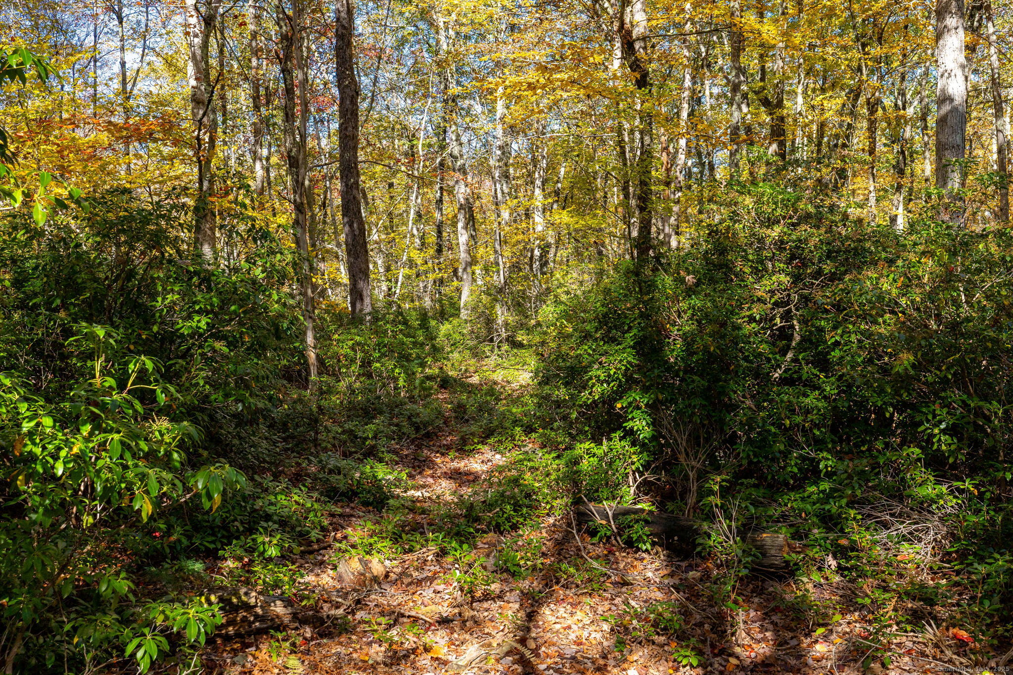 20 Edgerton Road Granby, CT 06090 - Photo 7 of 32 a view of a yard