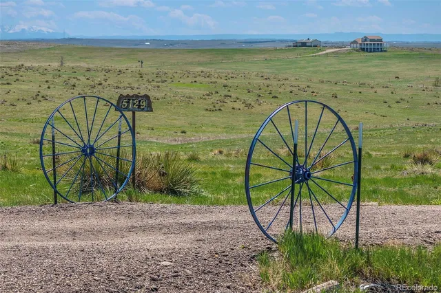 a view of a field with an trees