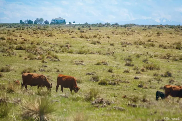 a kitchen with stainless steel appliances kitchen island granite countertop a stove top oven a sink dishwasher and white cabinets with wooden floor