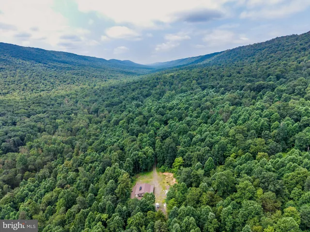 a view of a lush green mountain in the middle of a field