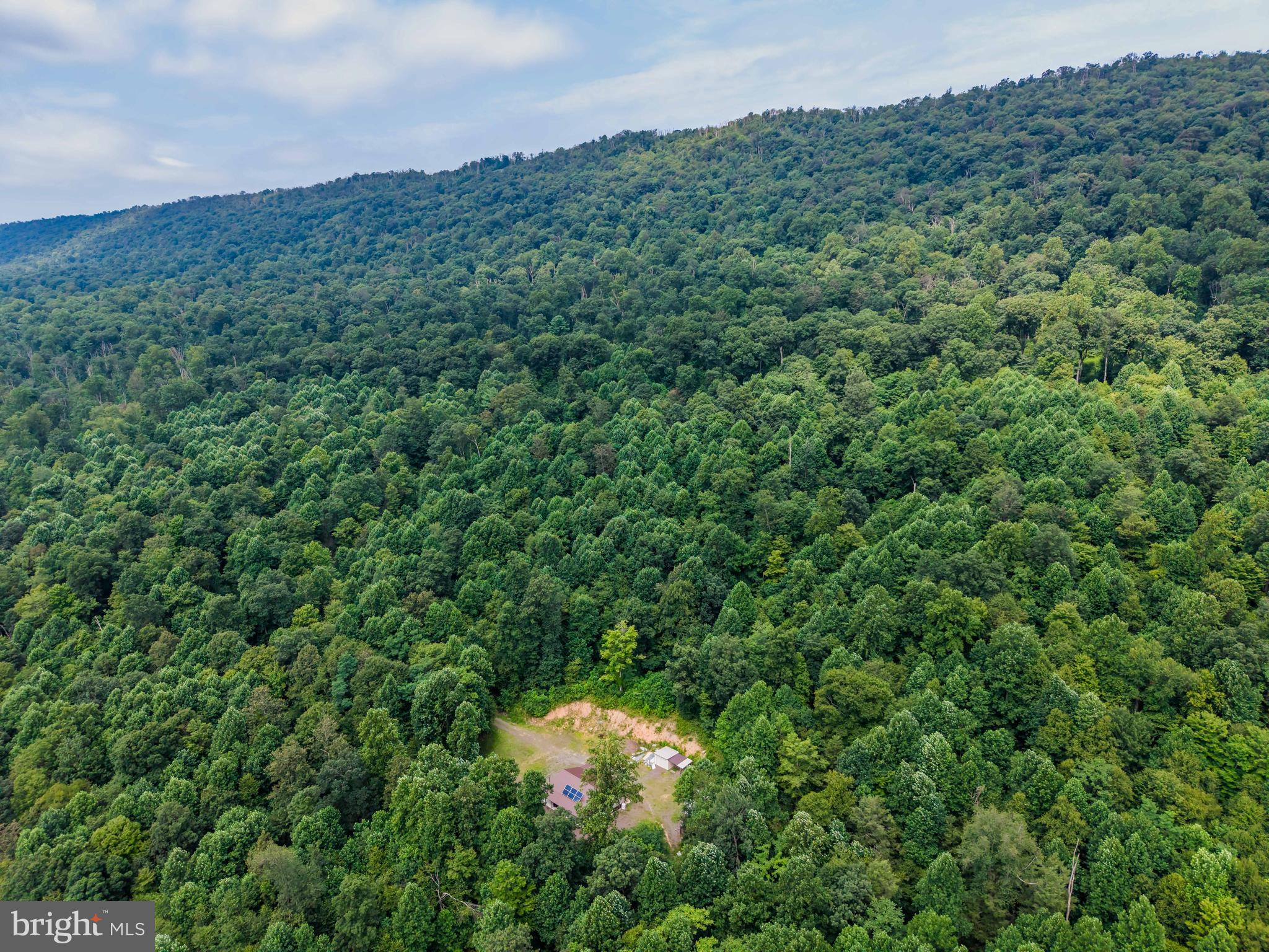 0 Vincent Tram Road Lewistown, PA 17044 - Photo 12 of 21 a view of a forest with a street
