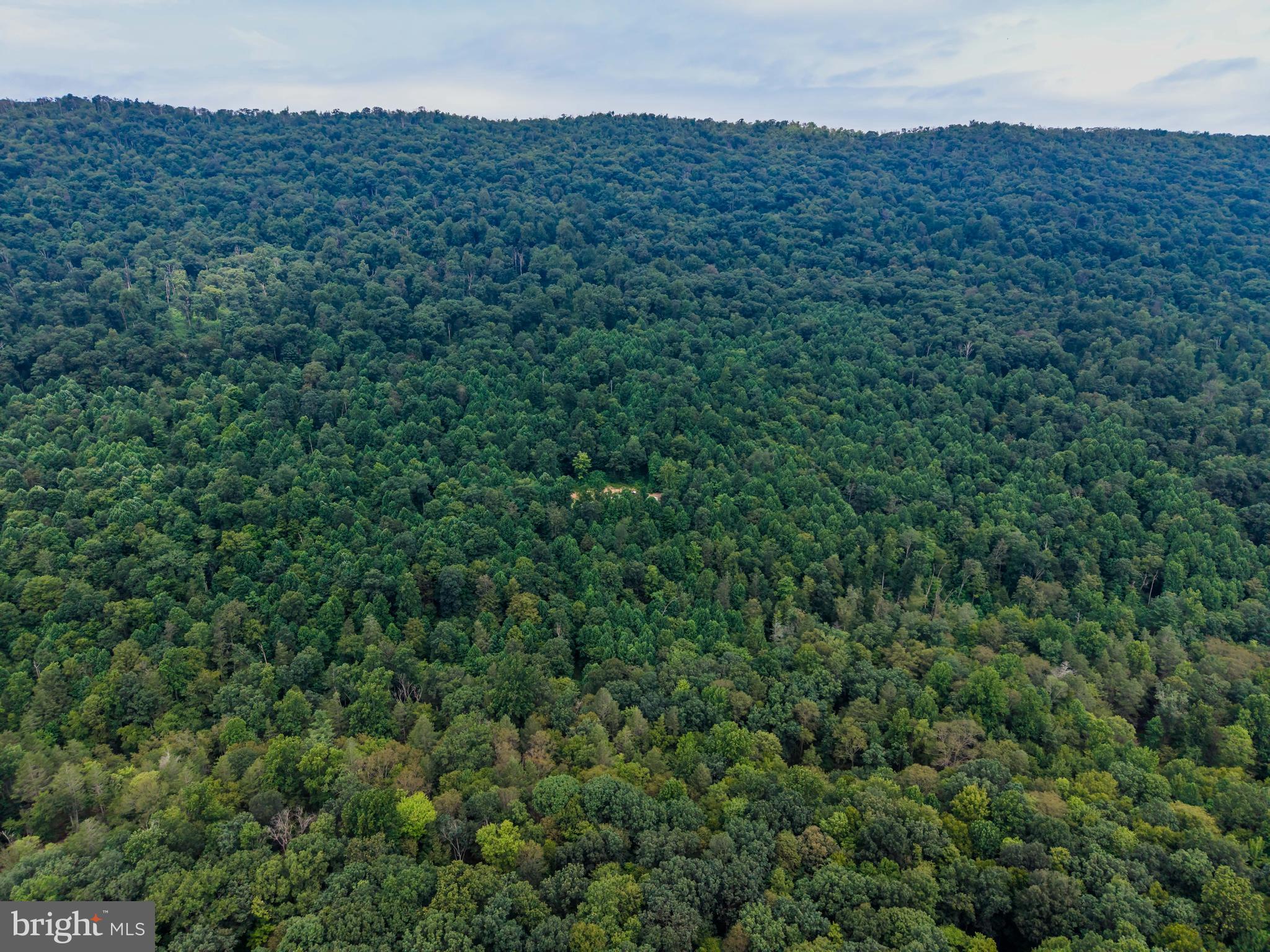 0 Vincent Tram Road Lewistown, PA 17044 - Photo 13 of 21 a view of a lush green field
