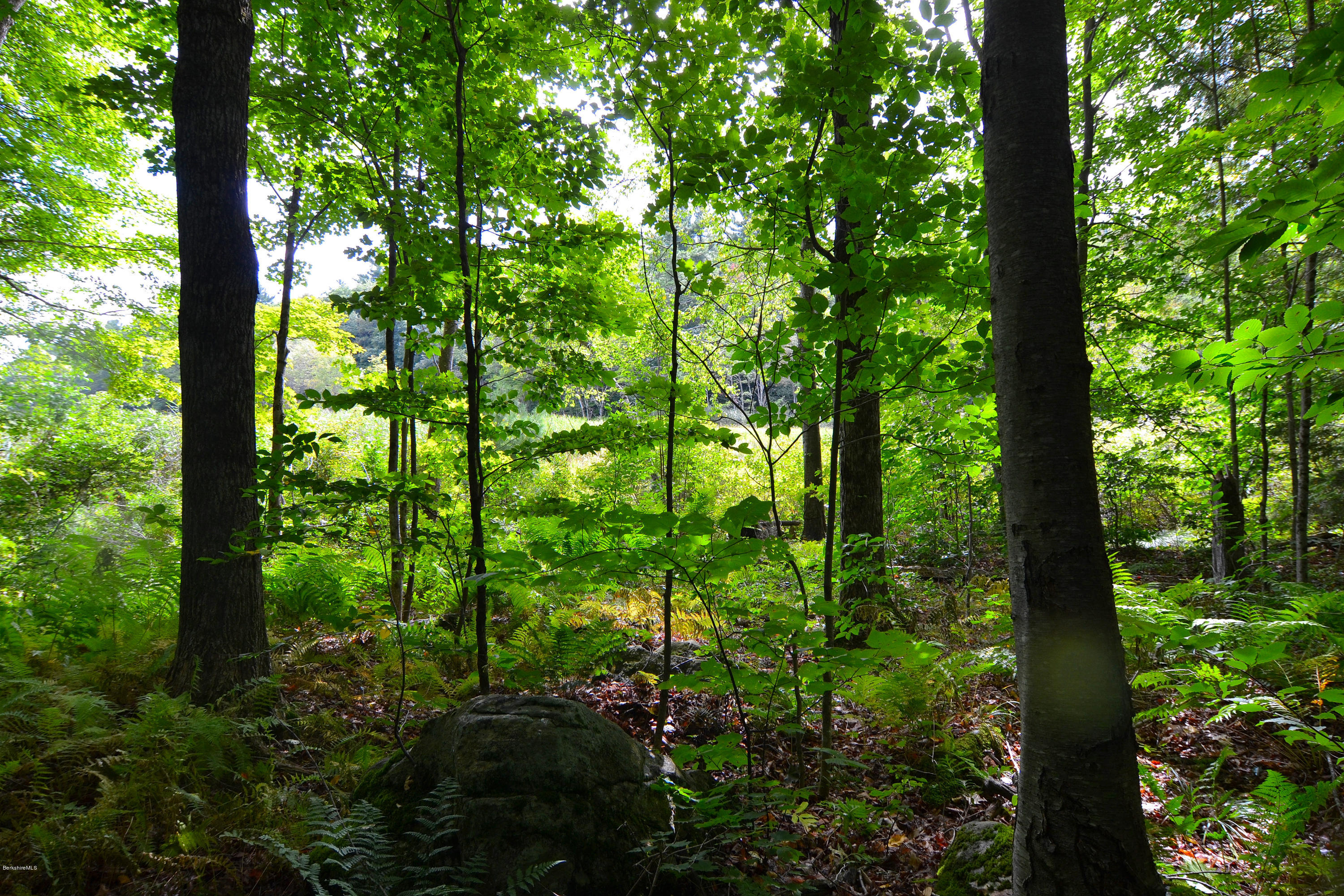 0 Main Road Road Tyringham, MA 01264 - Photo 3 of 7 DSC_0676