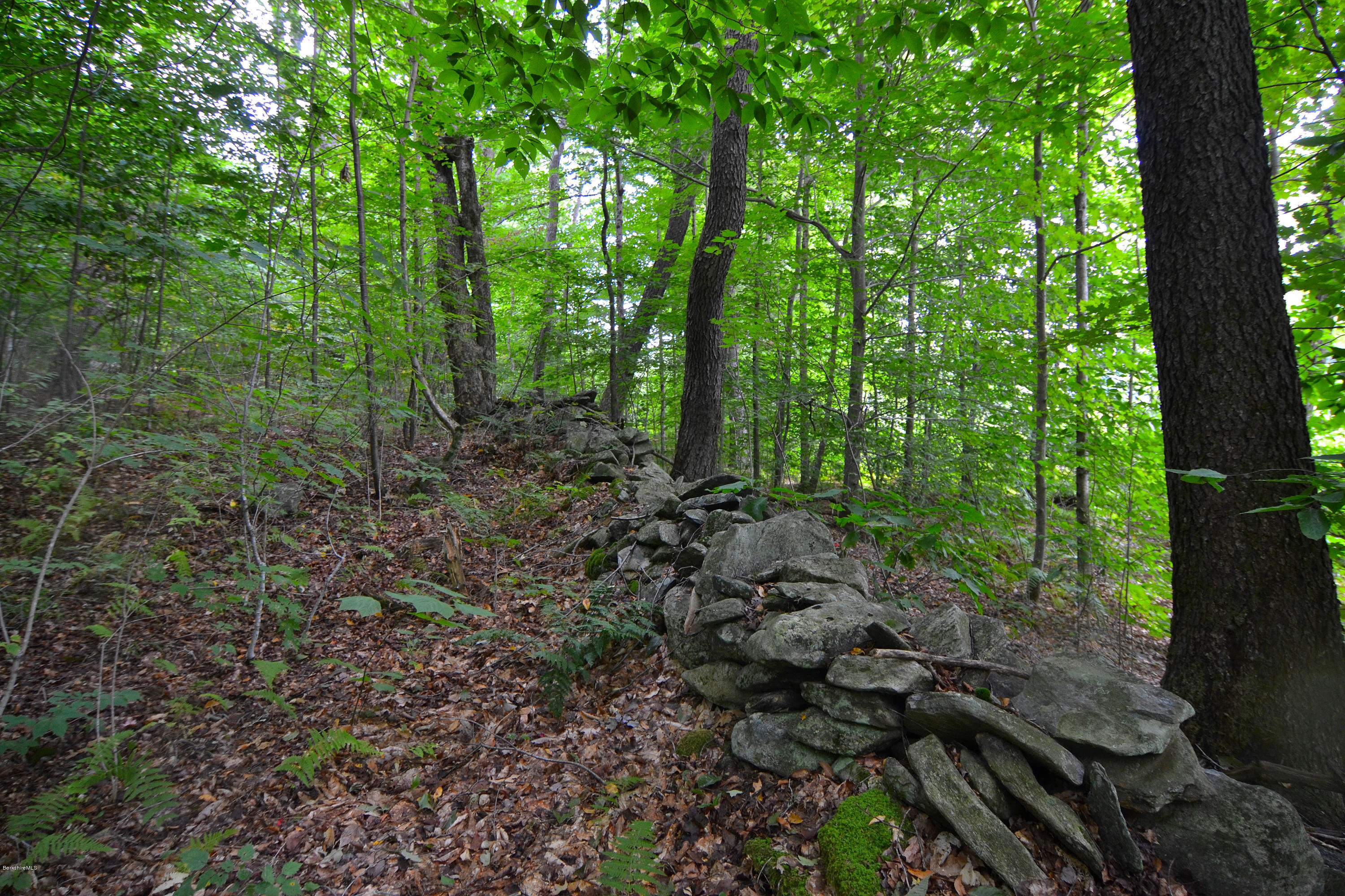 0 Main Road Road Tyringham, MA 01264 - Photo 4 of 7 DSC_0674