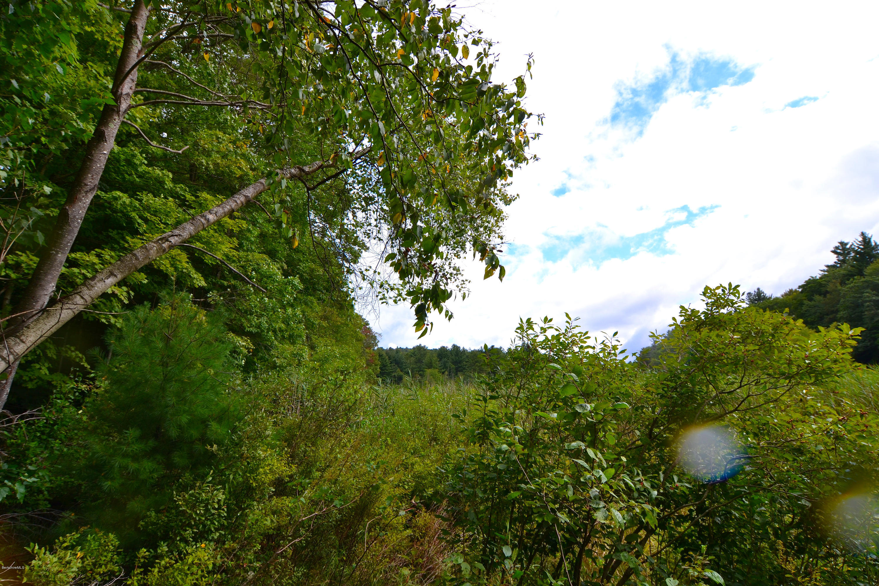 0 Main Road Road Tyringham, MA 01264 - Photo 5 of 7 DSC_0675