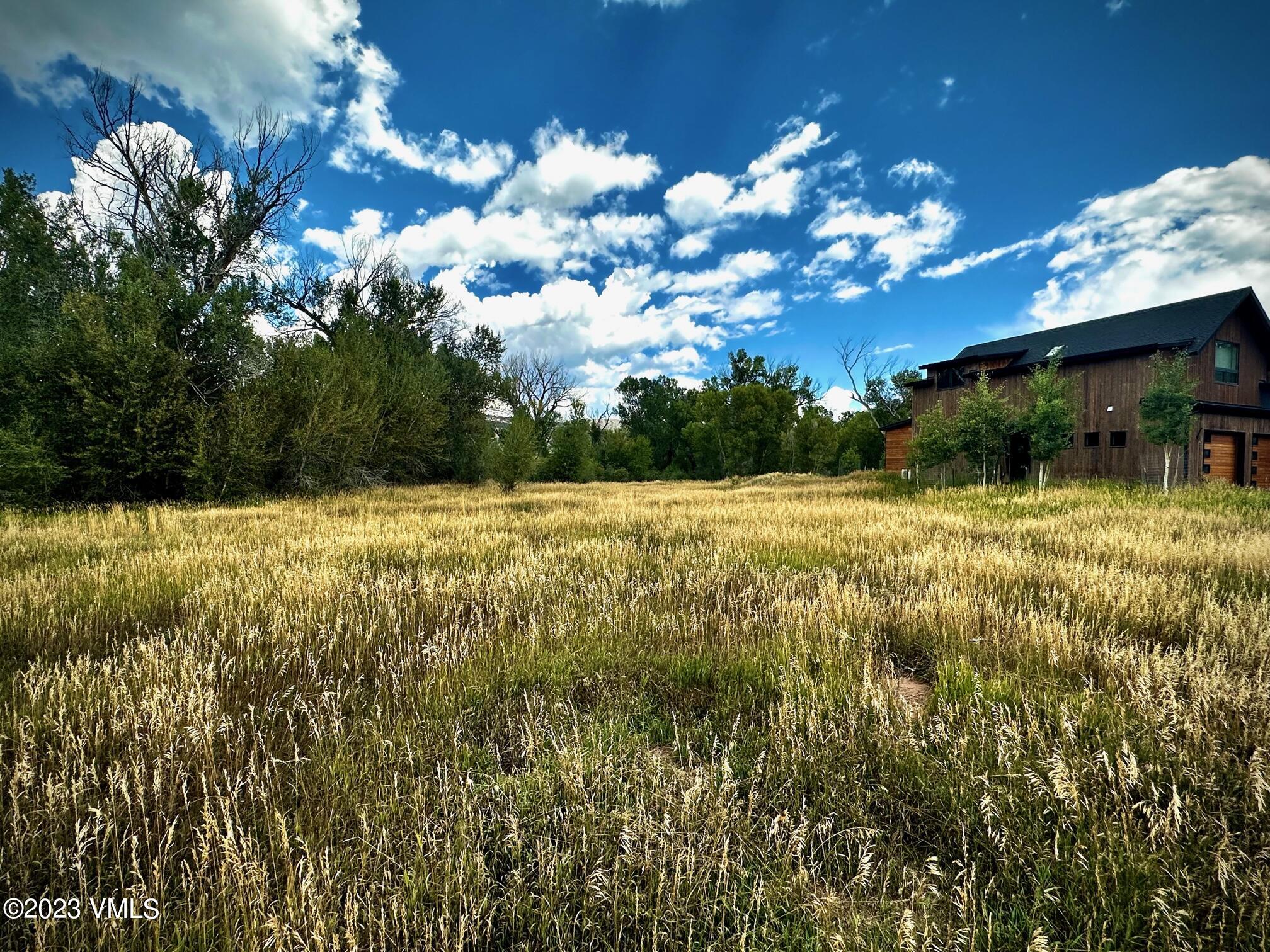2547 Eagle Ranch Road Eagle, CO 81631 - Photo 3 of 5 a view of a tree with a yard