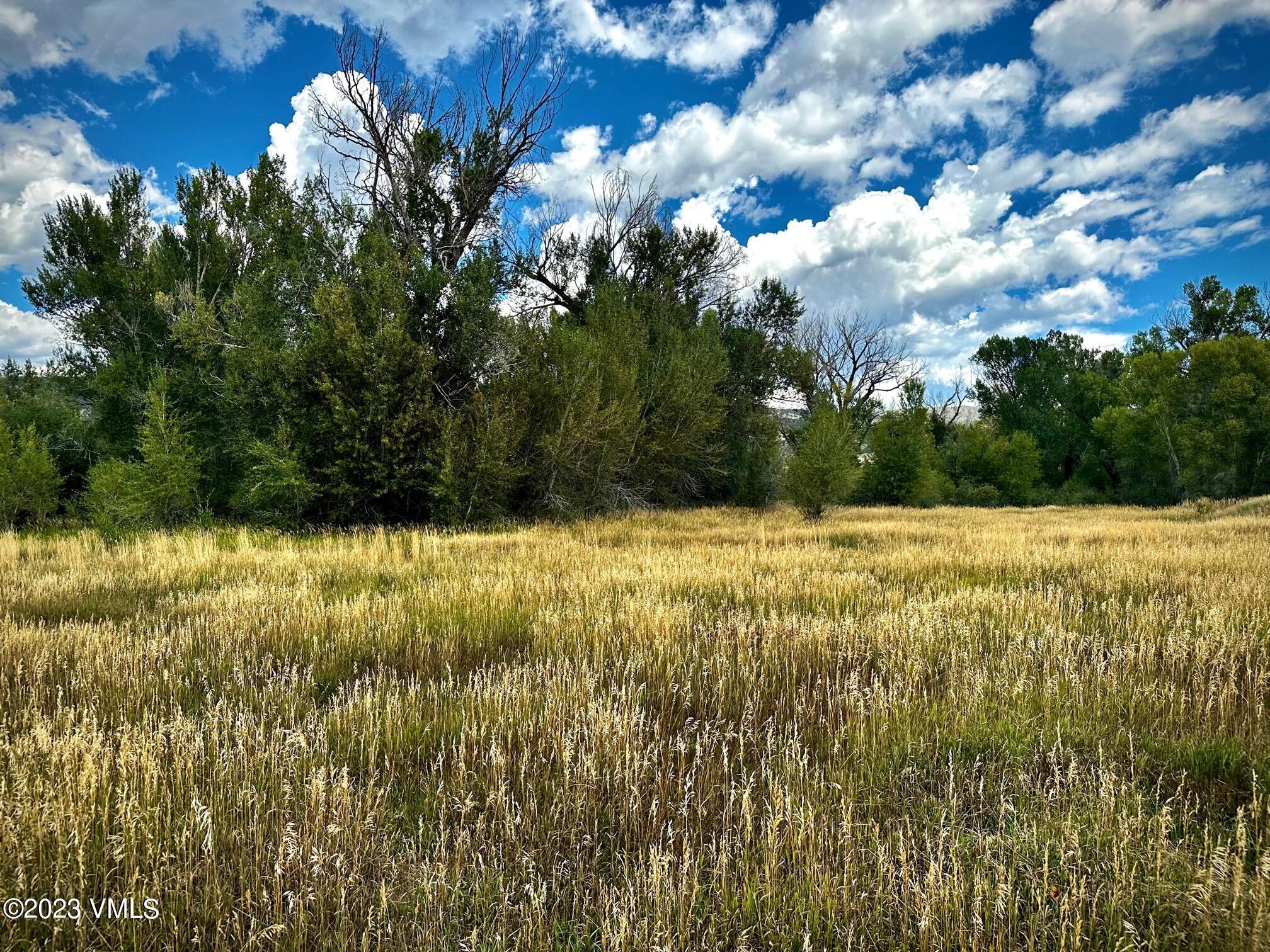 2547 Eagle Ranch Road Eagle, CO 81631 - Photo 5 of 5 a view of yard with large tree