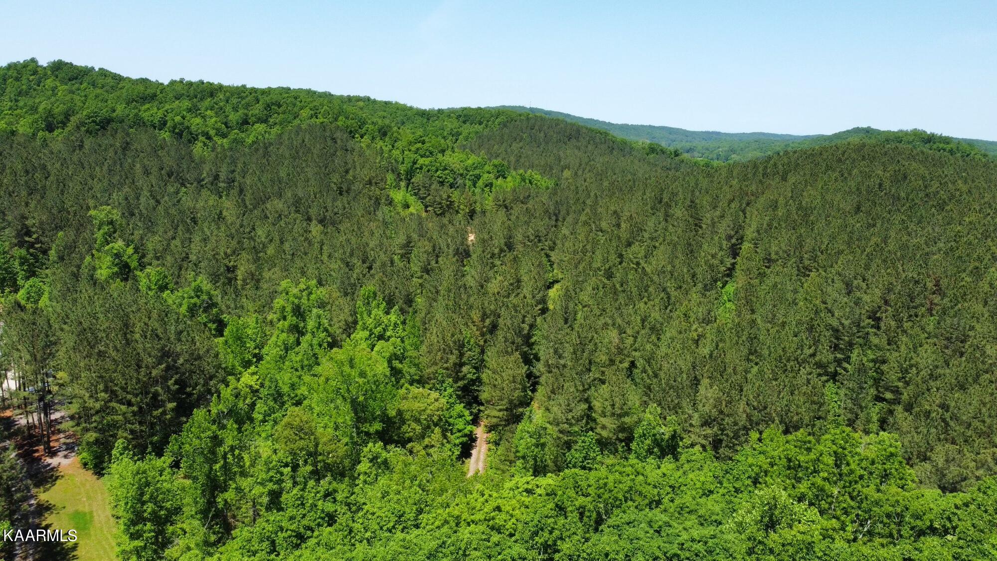 0 County Road 184 Road Athens, TN 37303 - Photo 2 of 28 4B79DCDB-F8C3-4890-8D66-71C93CEBA70E