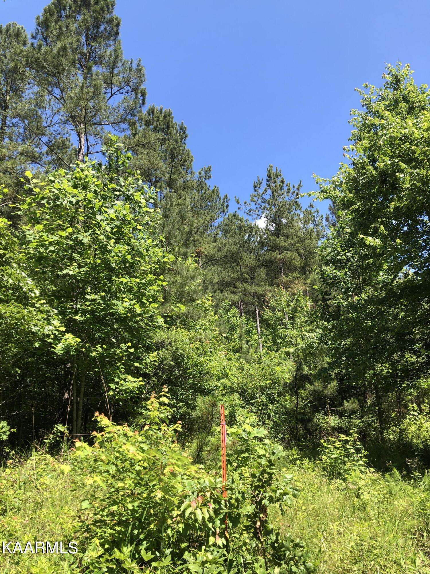 0 County Road 184 Road Athens, TN 37303 - Photo 24 of 28 9F7806F4-3023-4623-AFF6-1EB81112A38D