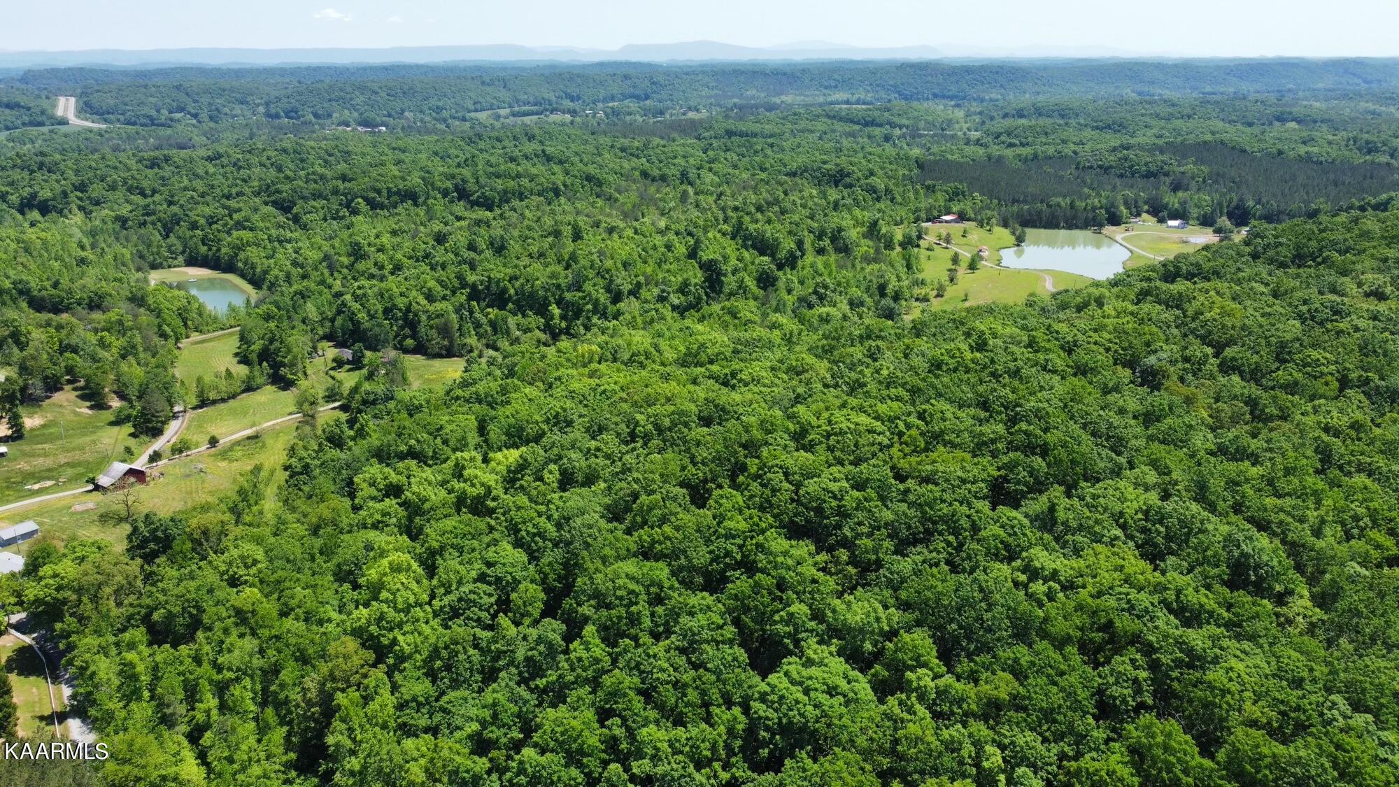 0 County Road 184 Road Athens, TN 37303 - Photo 3 of 28 FB260AD6-0E7A-41A7-8F7D-EBF5BA074EE2