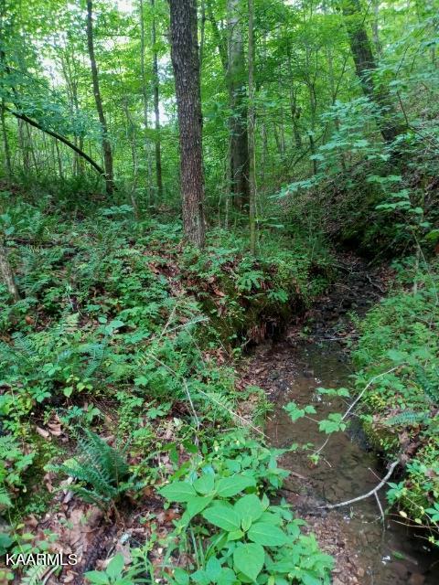 0 County Road 184 Road Athens, TN 37303 - Photo 5 of 28 image000000
